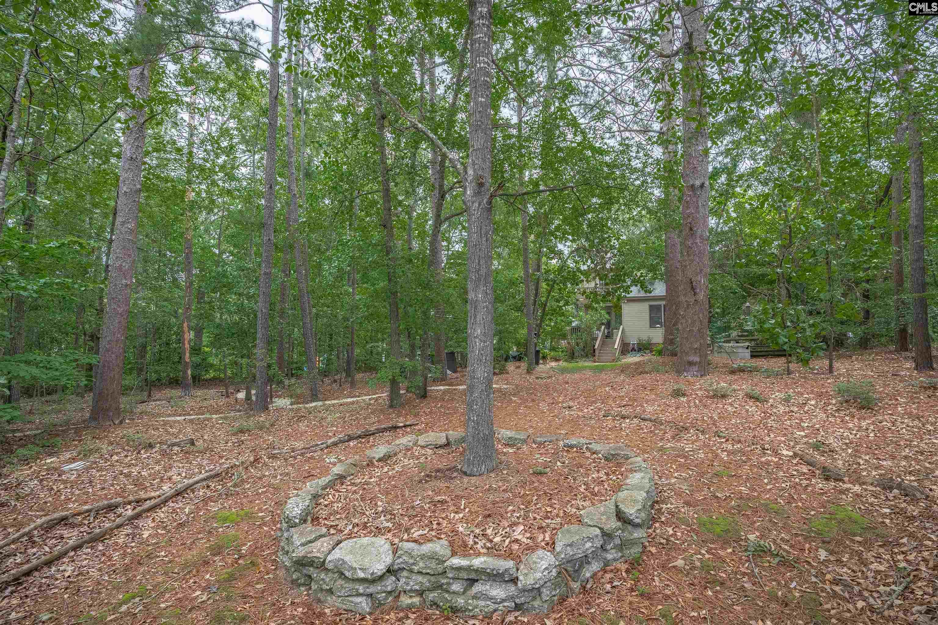 2609 Bendemeer Drive, Columbia, South Carolina image 48