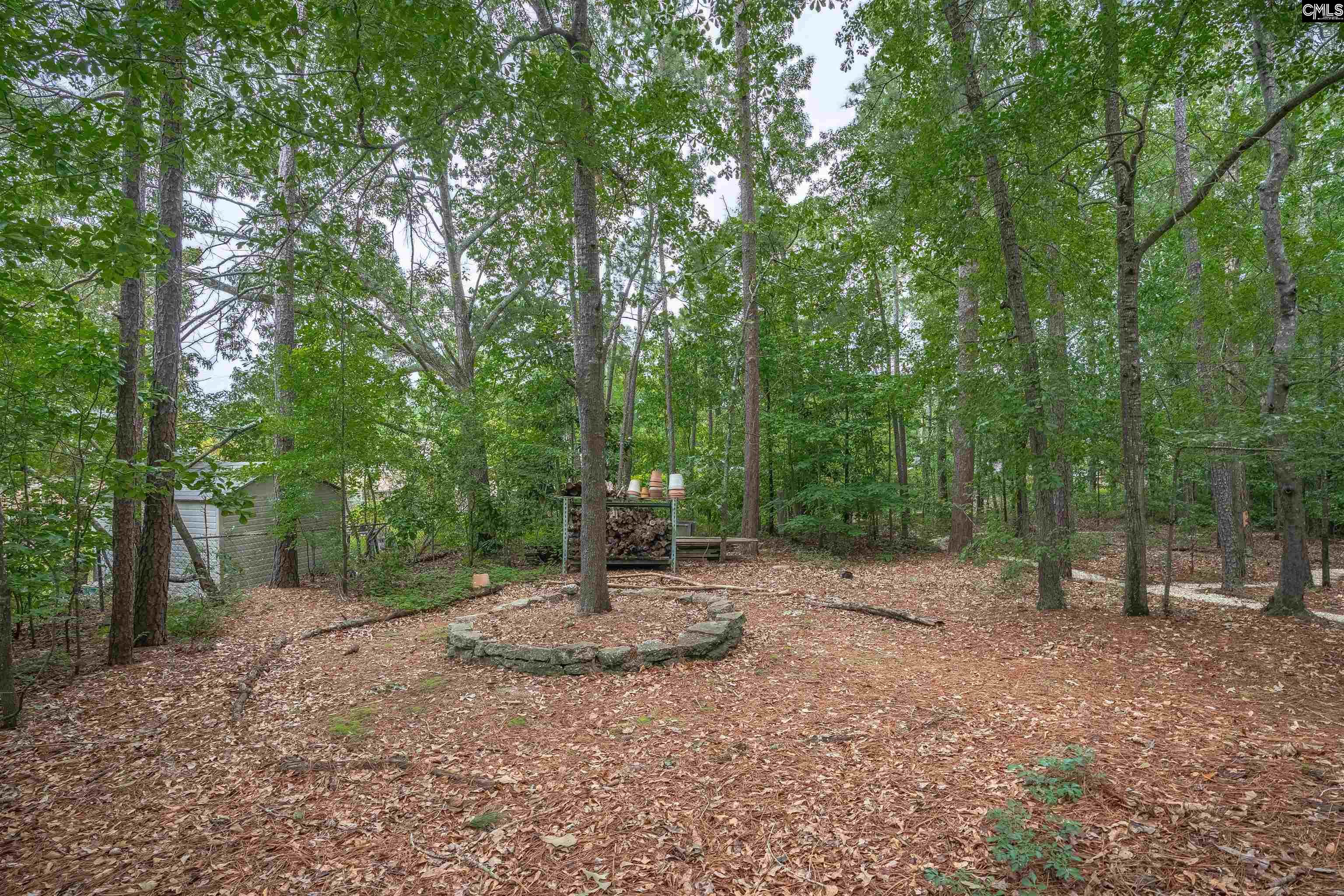 2609 Bendemeer Drive, Columbia, South Carolina image 49