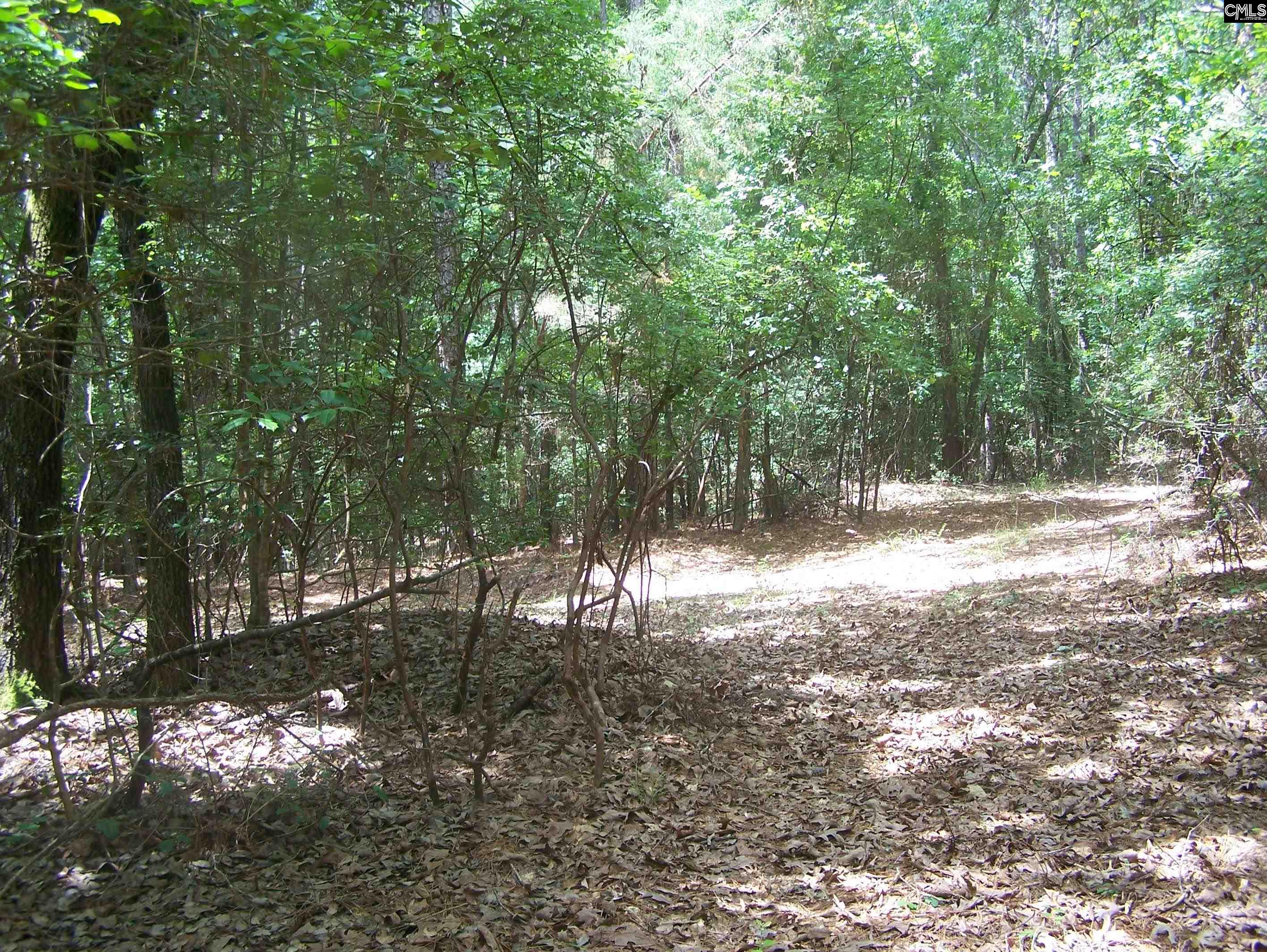 3386 Jackson Creek Road, Winnsboro, South Carolina image 11