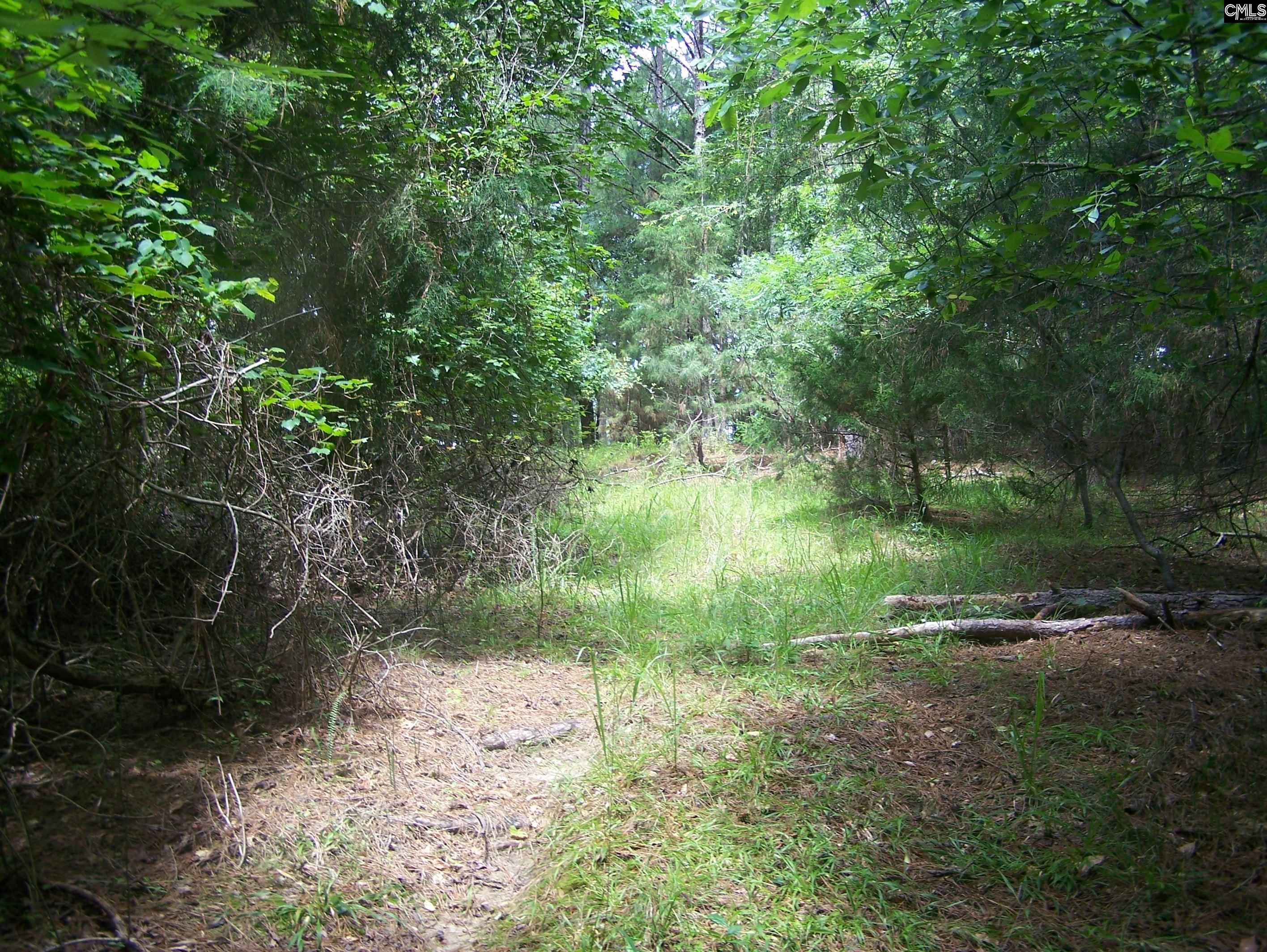 3386 Jackson Creek Road, Winnsboro, South Carolina image 12