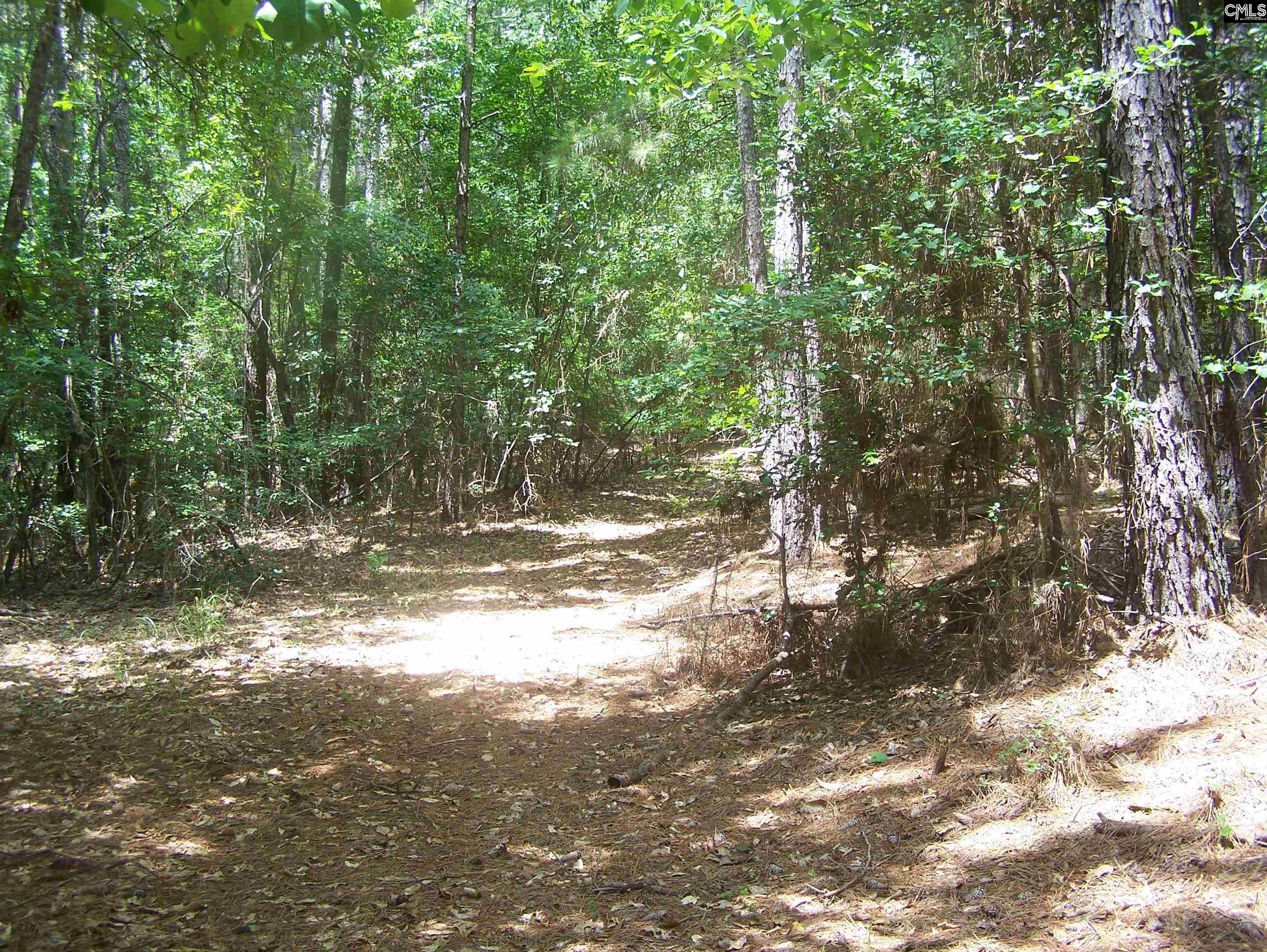 3386 Jackson Creek Road, Winnsboro, South Carolina image 13