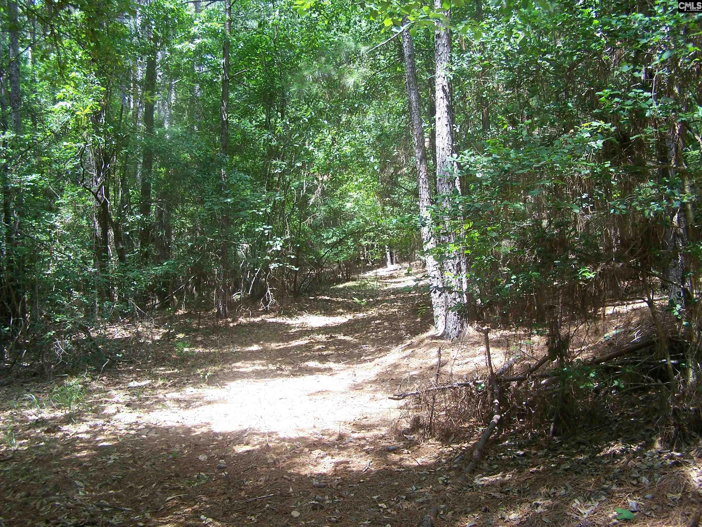 3386 Jackson Creek Road, Winnsboro, South Carolina image 14