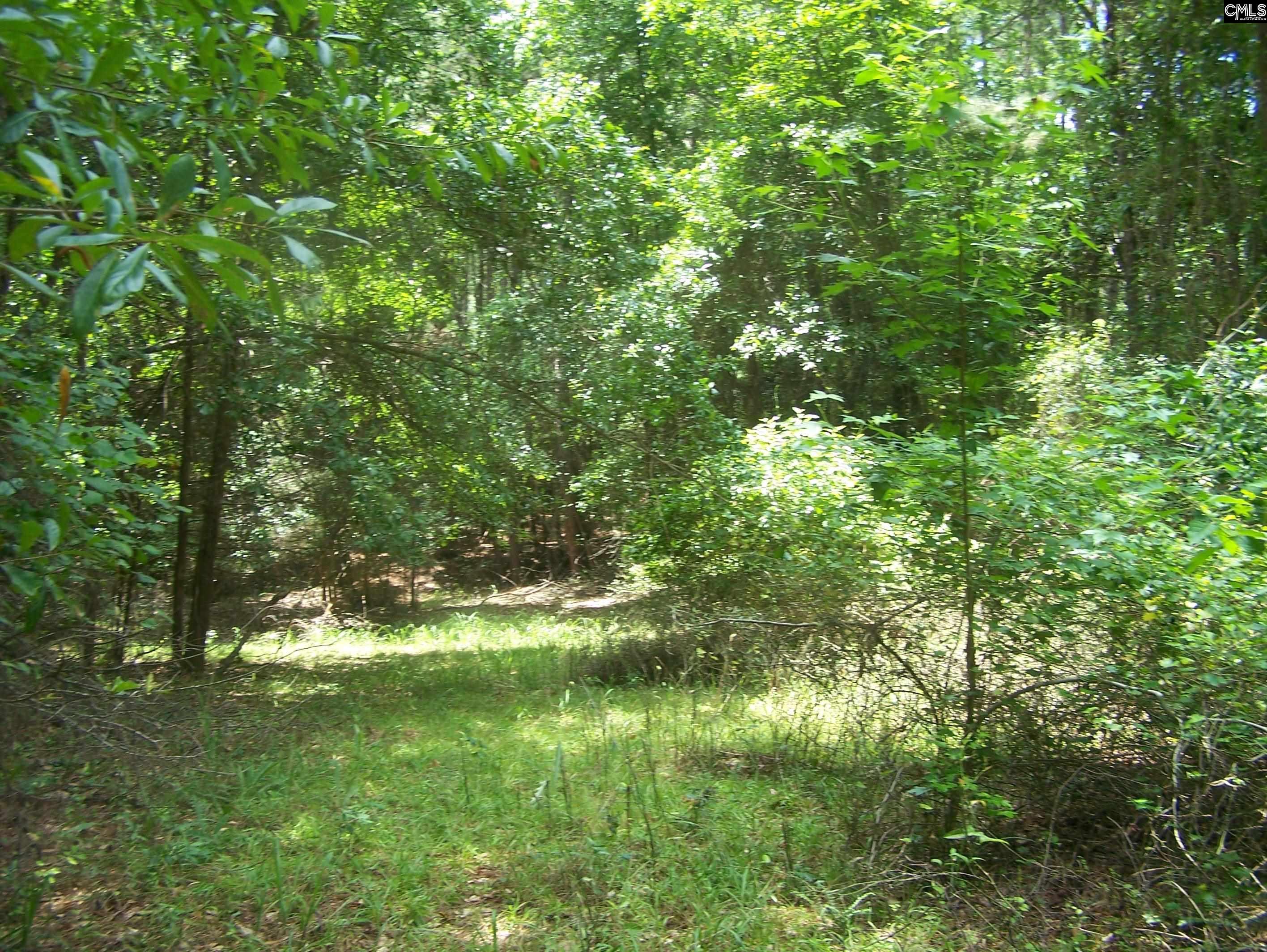 3386 Jackson Creek Road, Winnsboro, South Carolina image 15