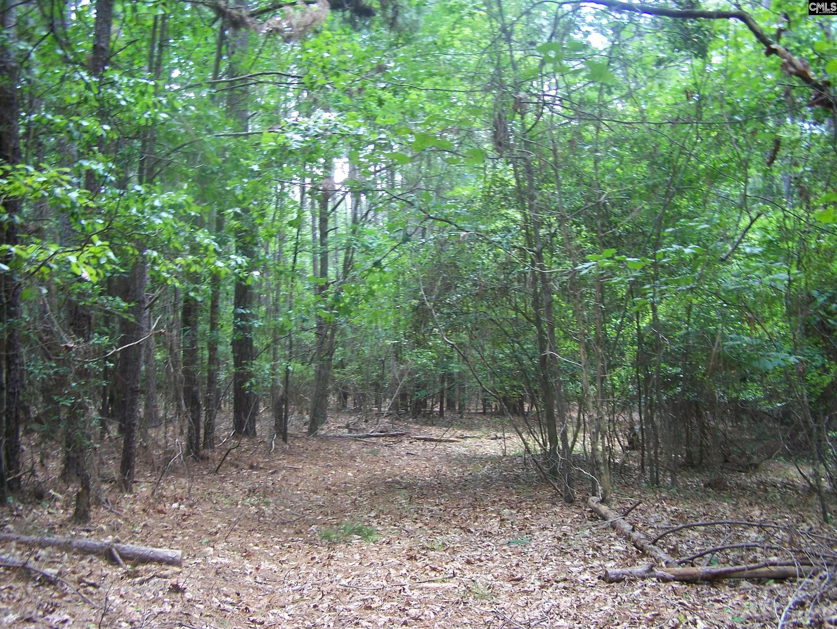 3386 Jackson Creek Road, Winnsboro, South Carolina image 16