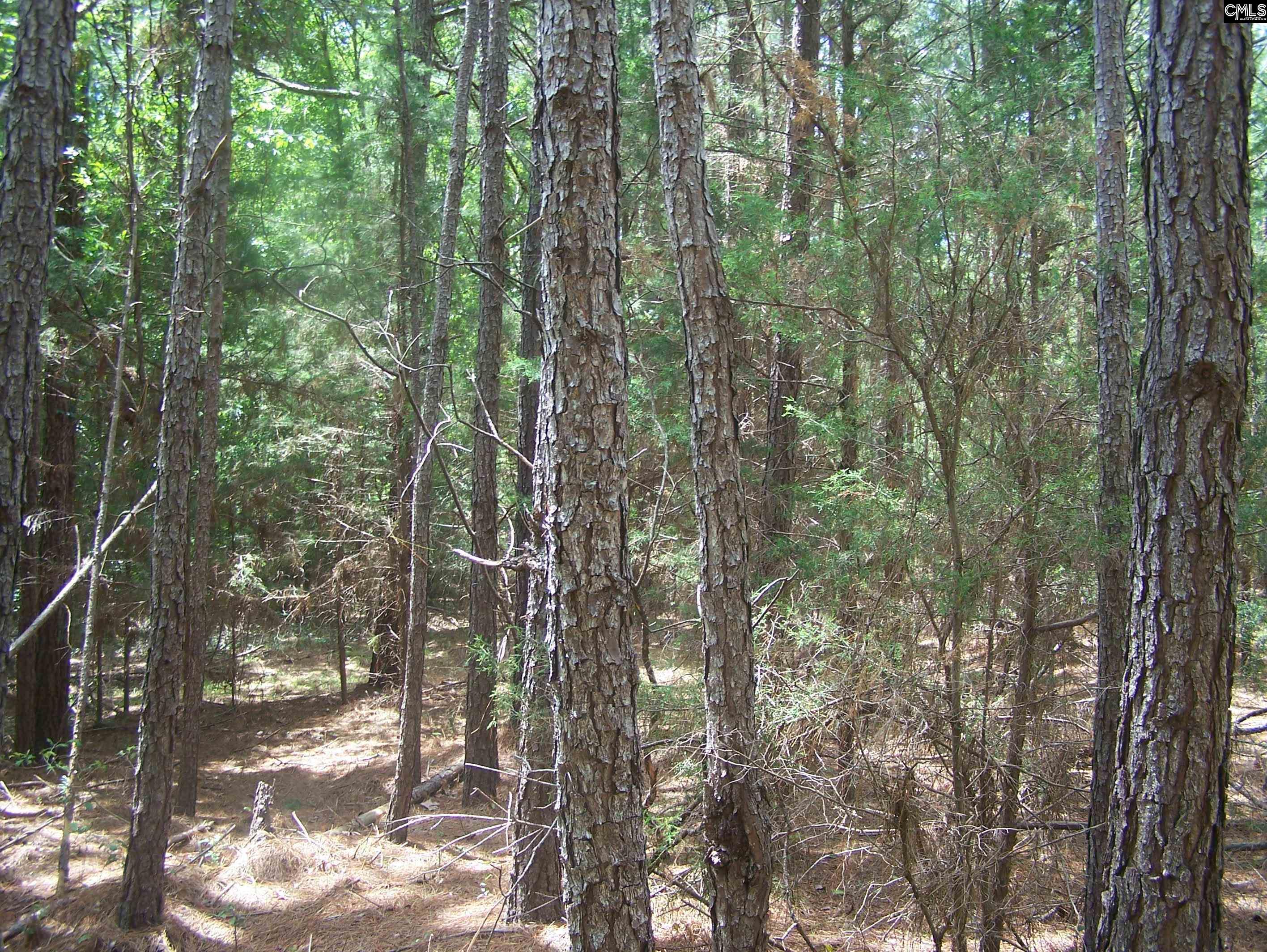 3386 Jackson Creek Road, Winnsboro, South Carolina image 3