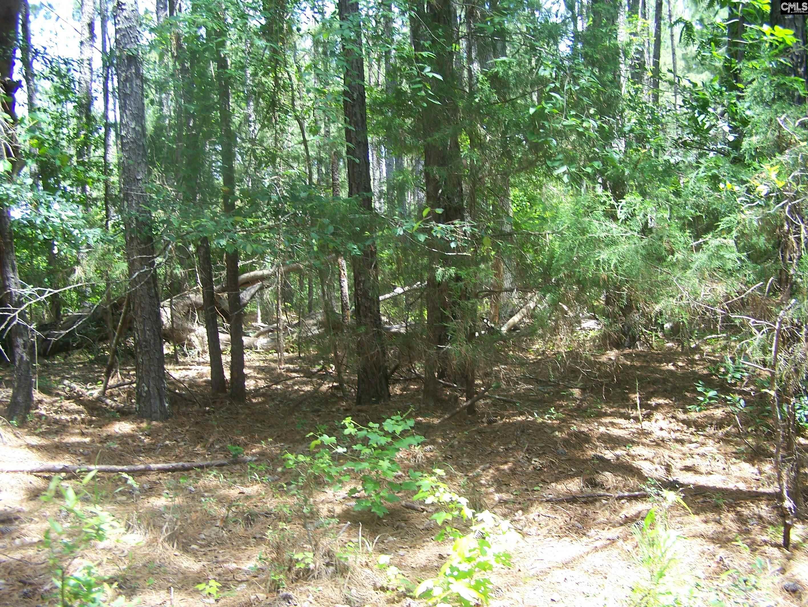 3386 Jackson Creek Road, Winnsboro, South Carolina image 4