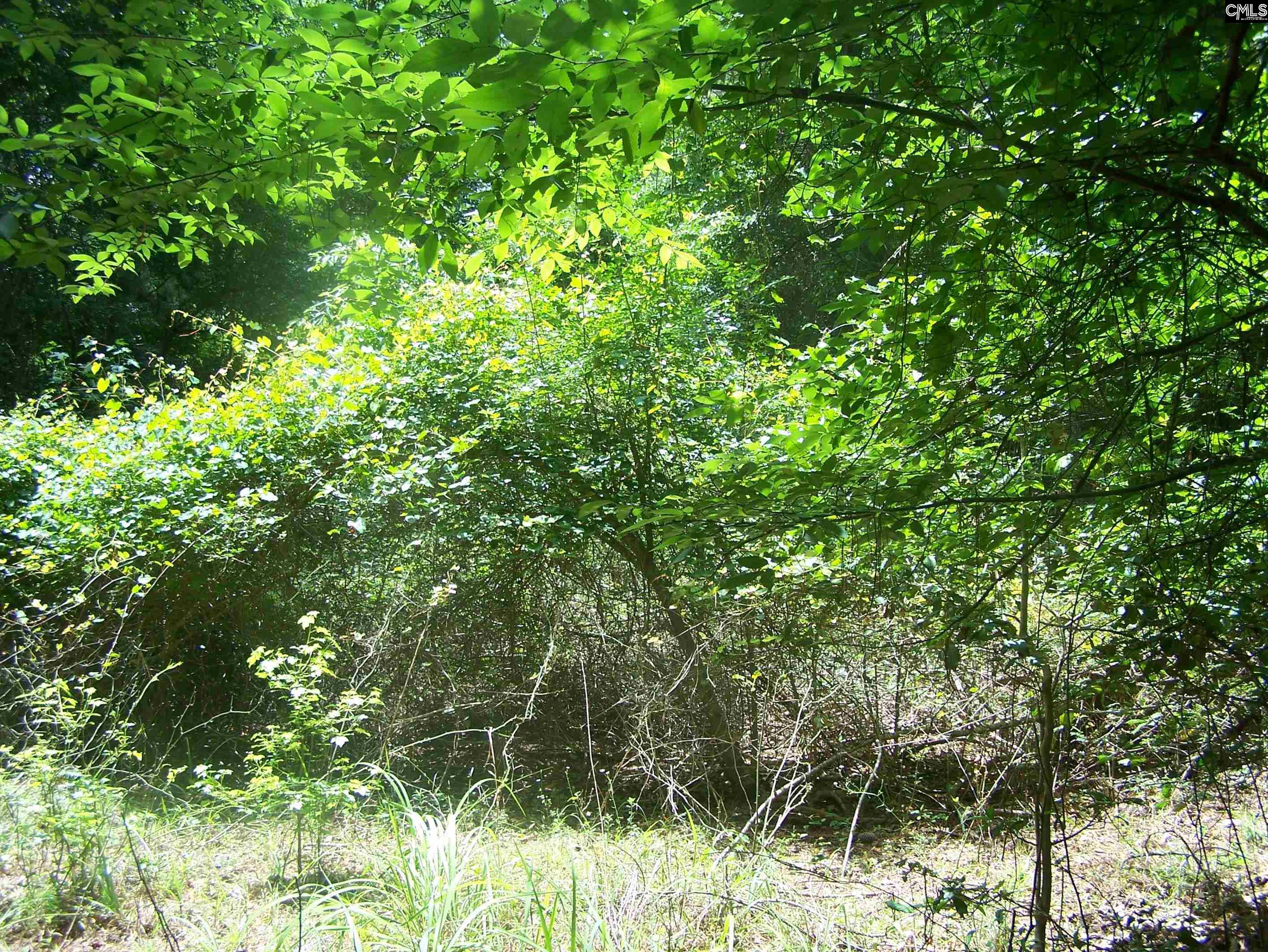 3386 Jackson Creek Road, Winnsboro, South Carolina image 5
