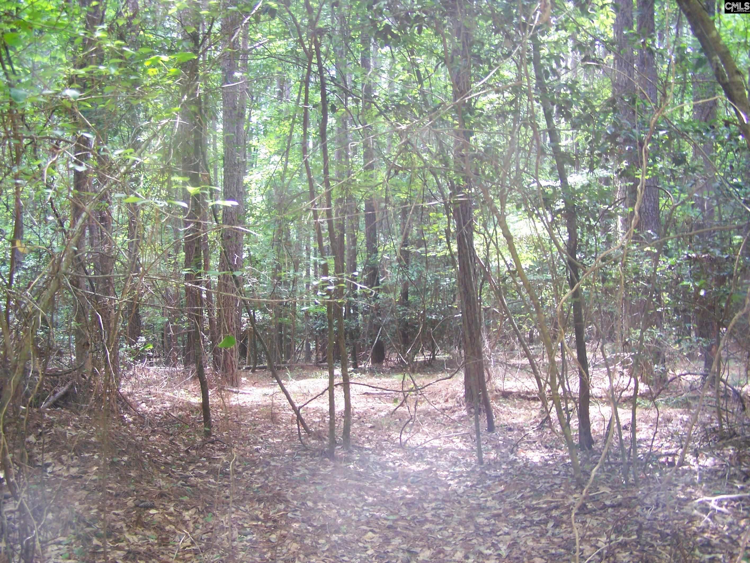 3386 Jackson Creek Road, Winnsboro, South Carolina image 6