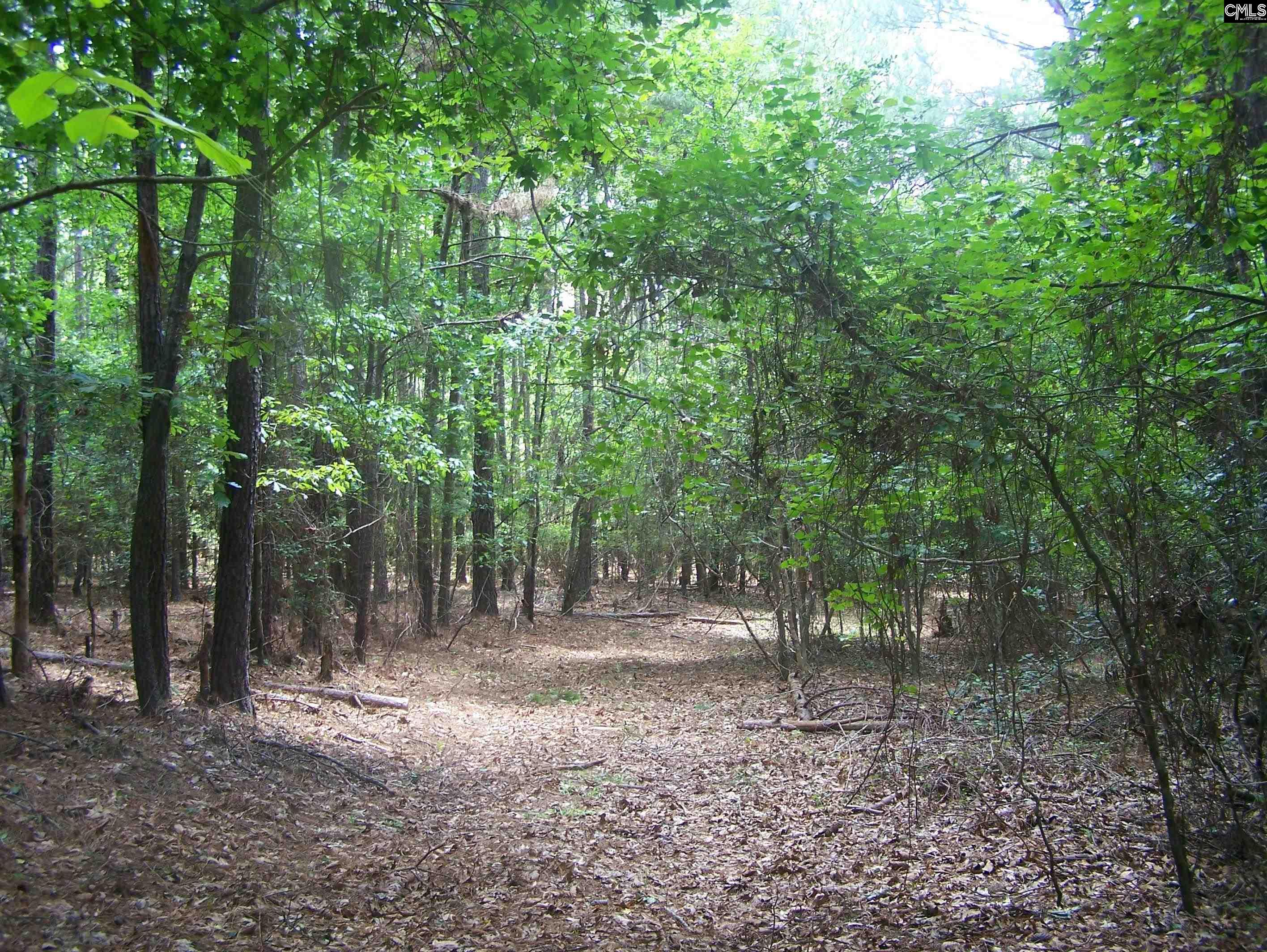 3386 Jackson Creek Road, Winnsboro, South Carolina image 8