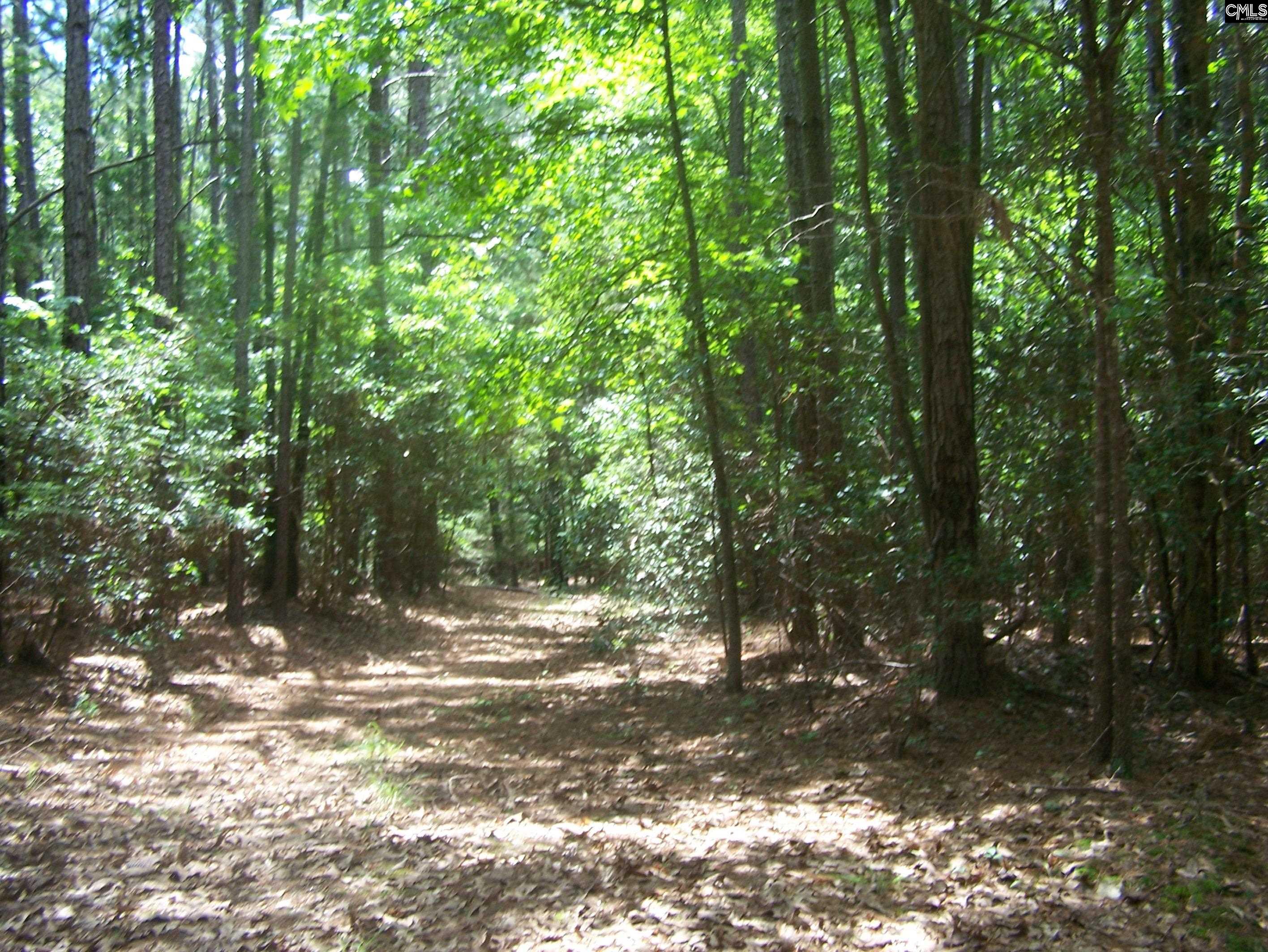 3386 Jackson Creek Road, Winnsboro, South Carolina image 9