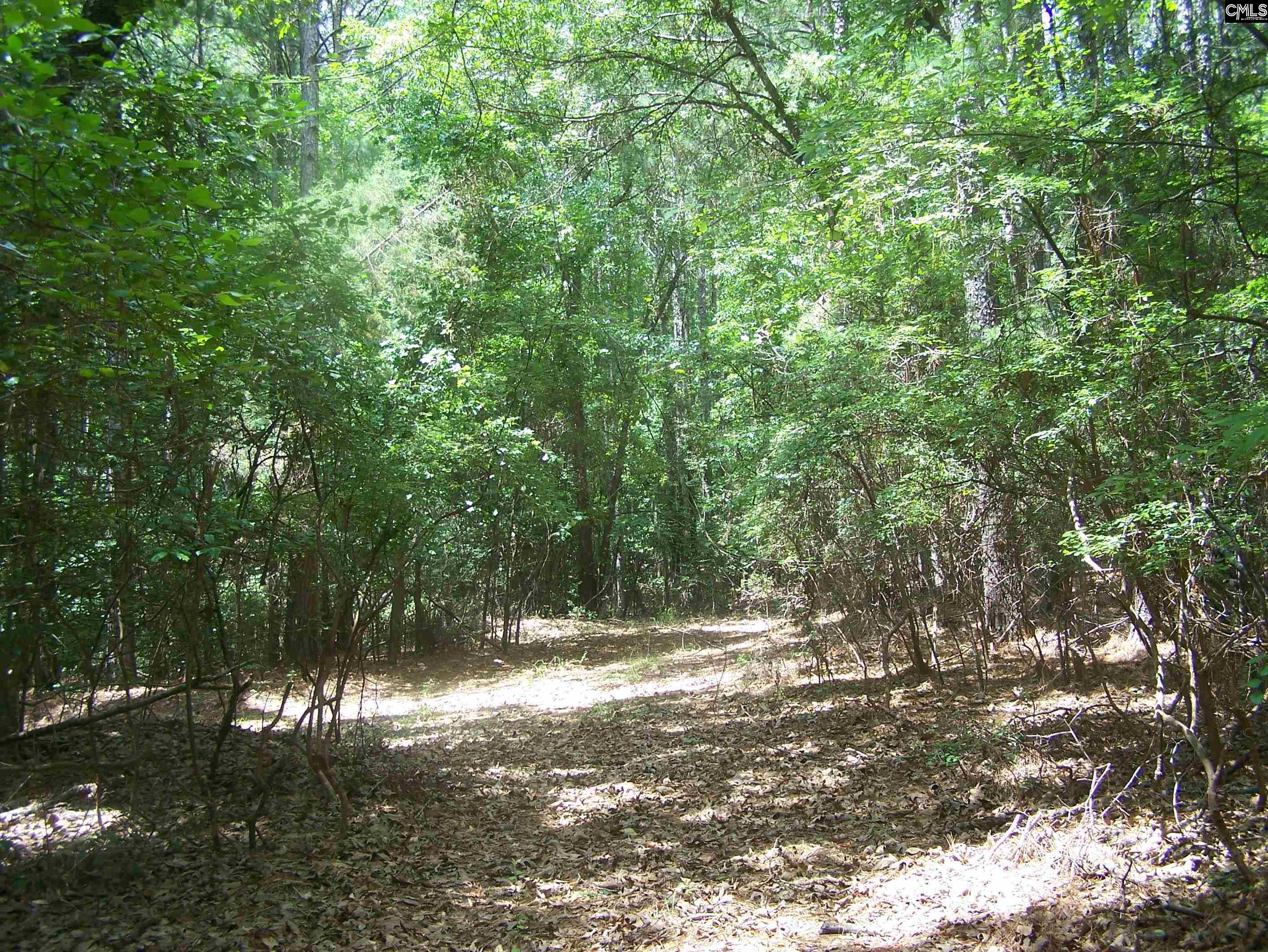 3386 Jackson Creek Road, Winnsboro, South Carolina image 10