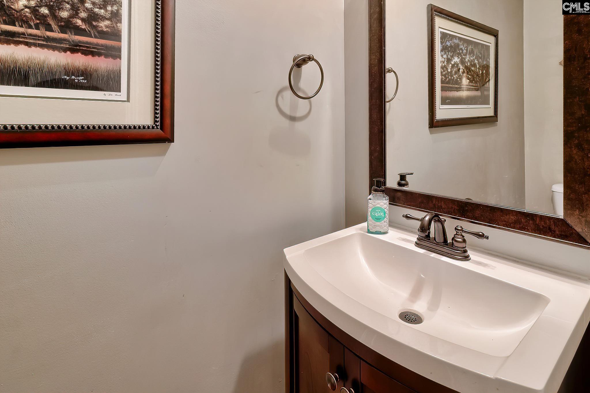 540 Everton Drive, Chapin, South Carolina image 14