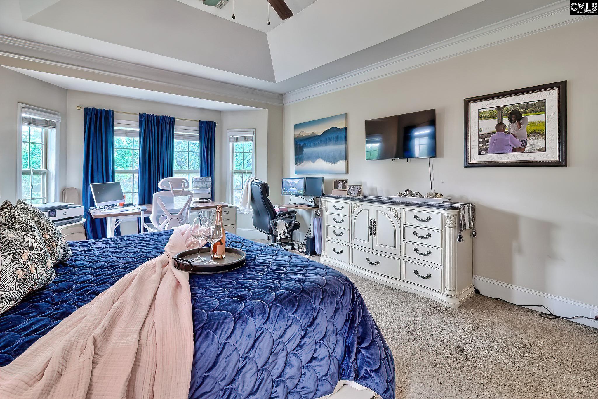 540 Everton Drive, Chapin, South Carolina image 16