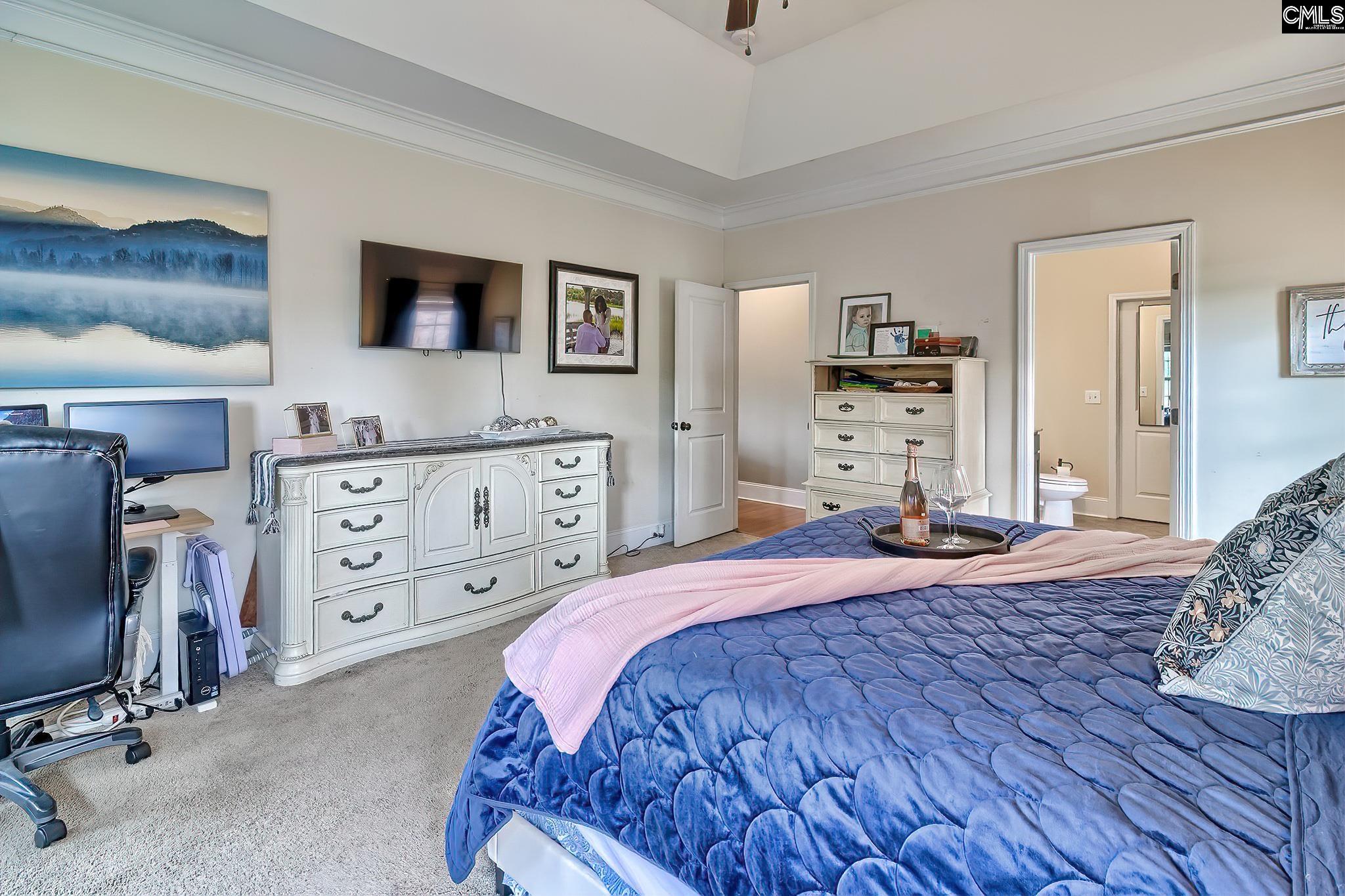 540 Everton Drive, Chapin, South Carolina image 17