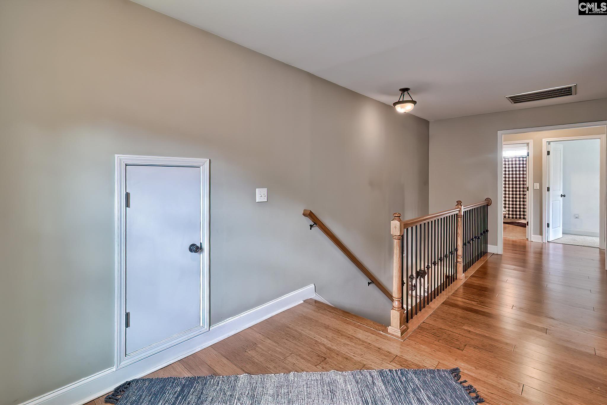 540 Everton Drive, Chapin, South Carolina image 20