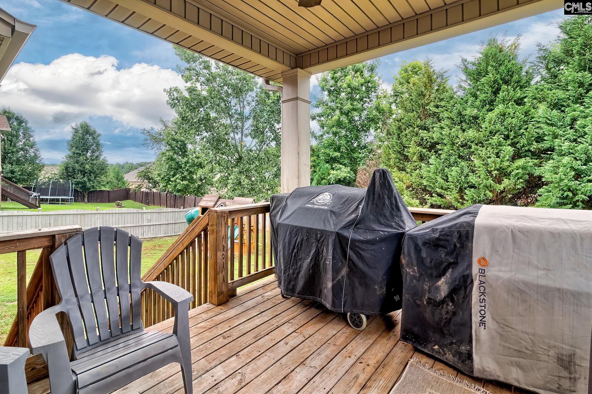 540 Everton Drive, Chapin, South Carolina image 28