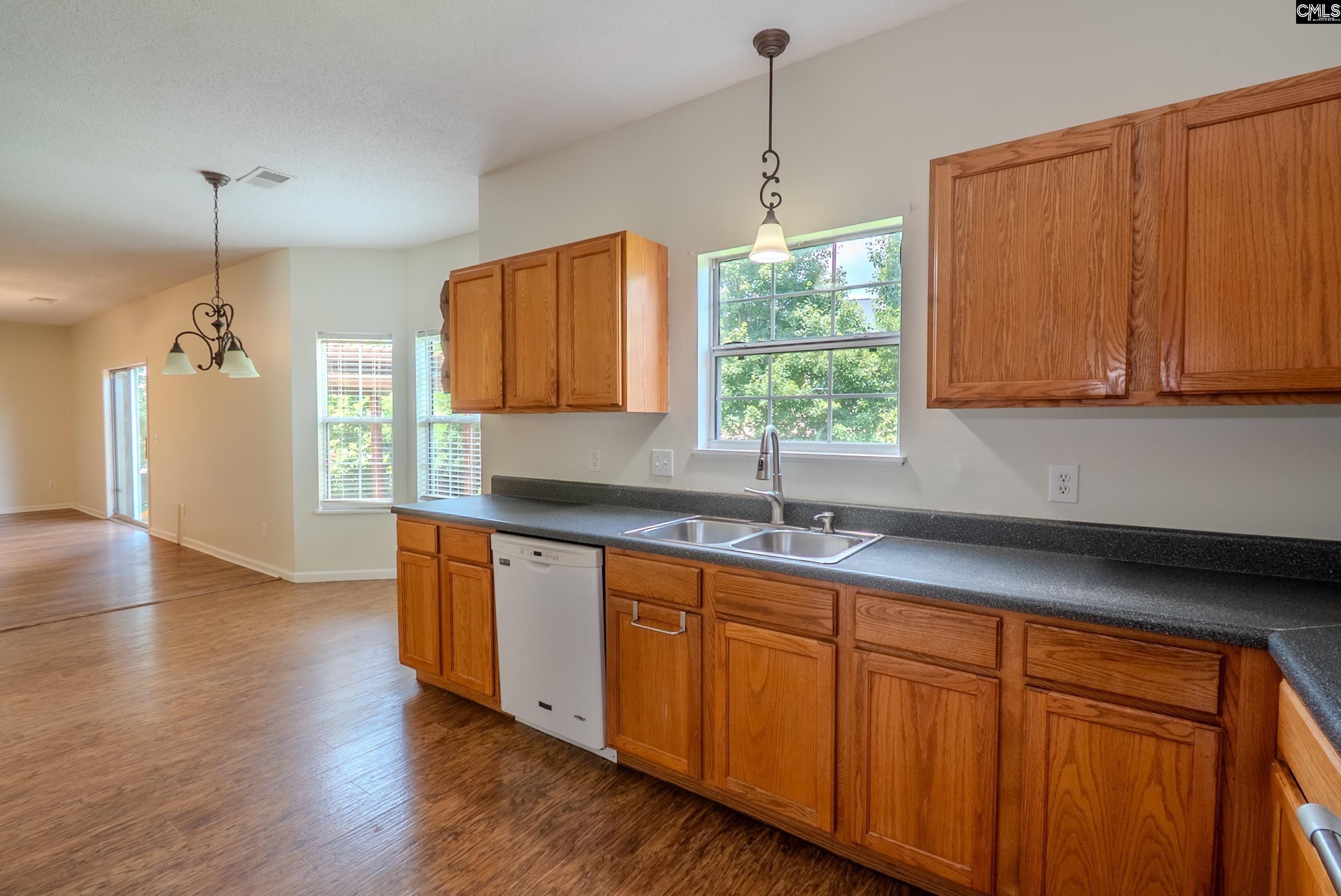 105 Songbird Court, Chapin, South Carolina image 17