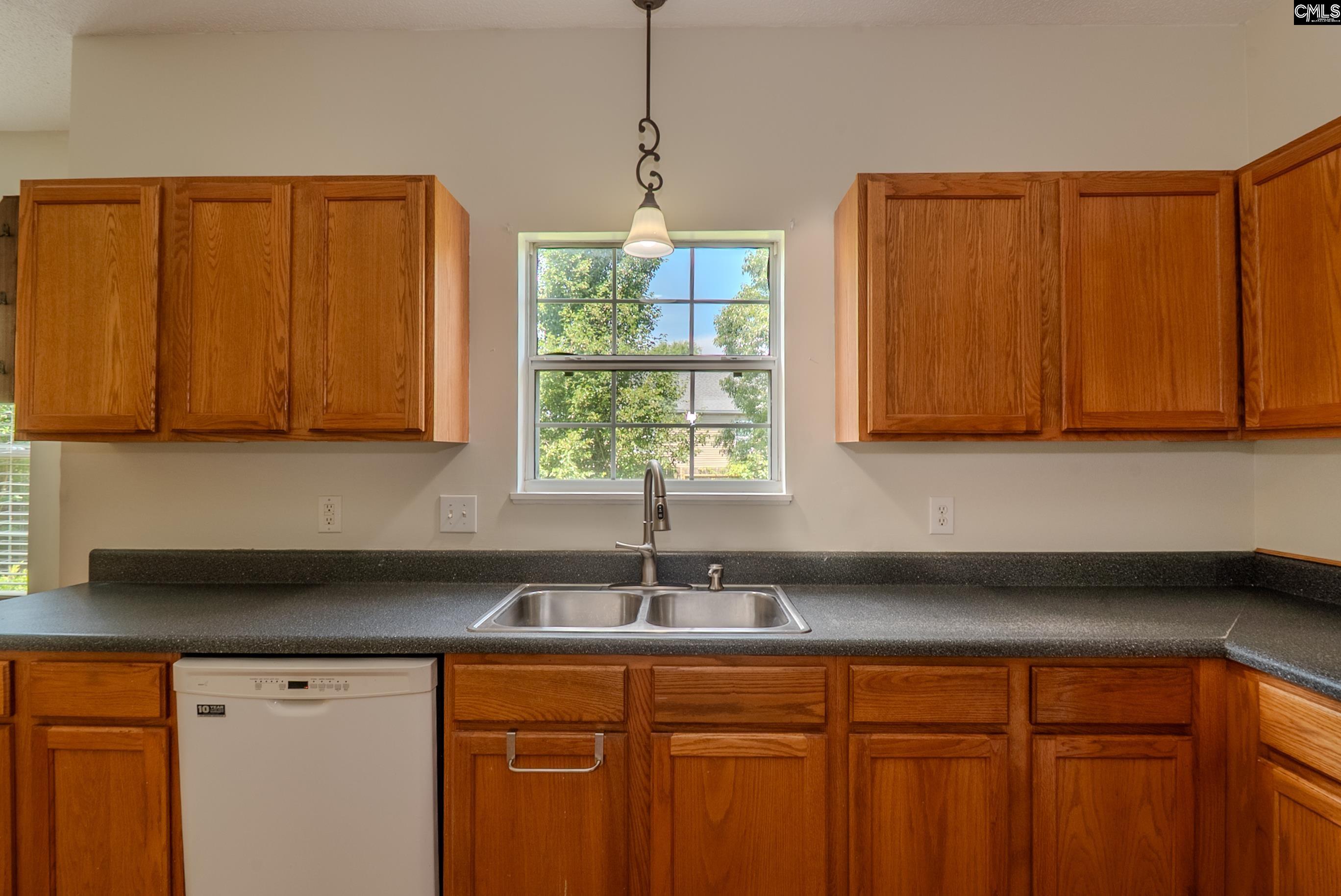 105 Songbird Court, Chapin, South Carolina image 18