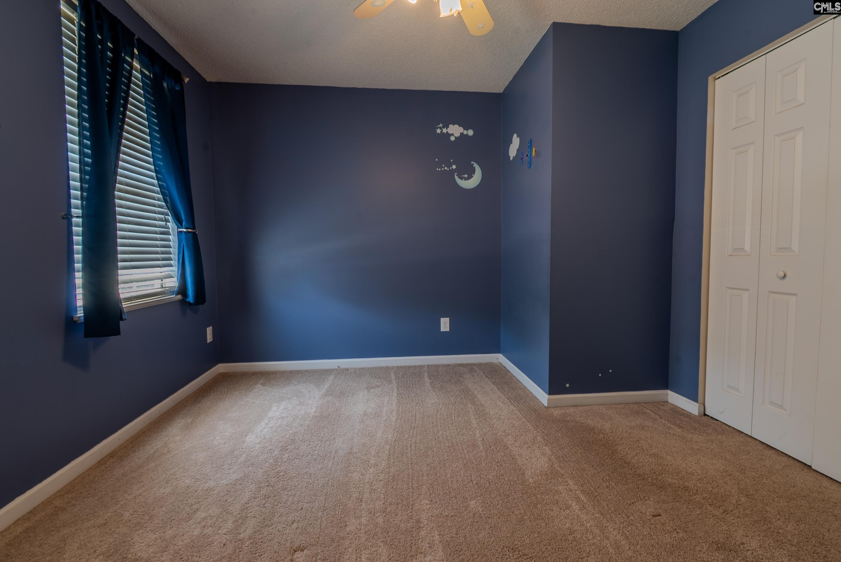 105 Songbird Court, Chapin, South Carolina image 38