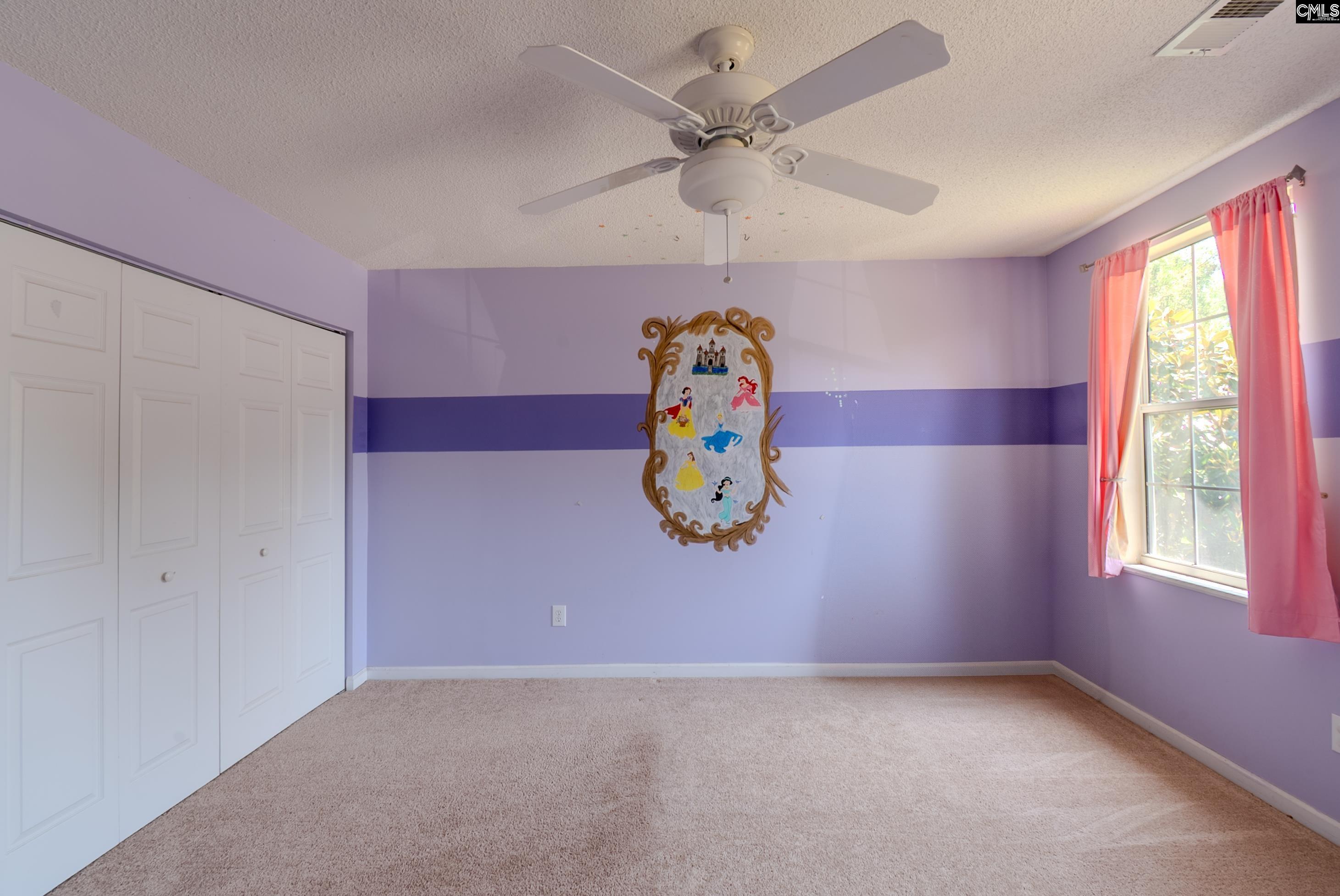 105 Songbird Court, Chapin, South Carolina image 41