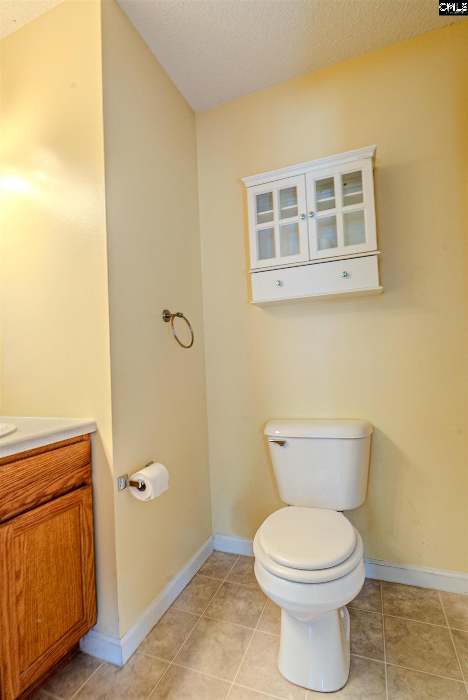 105 Songbird Court, Chapin, South Carolina image 43