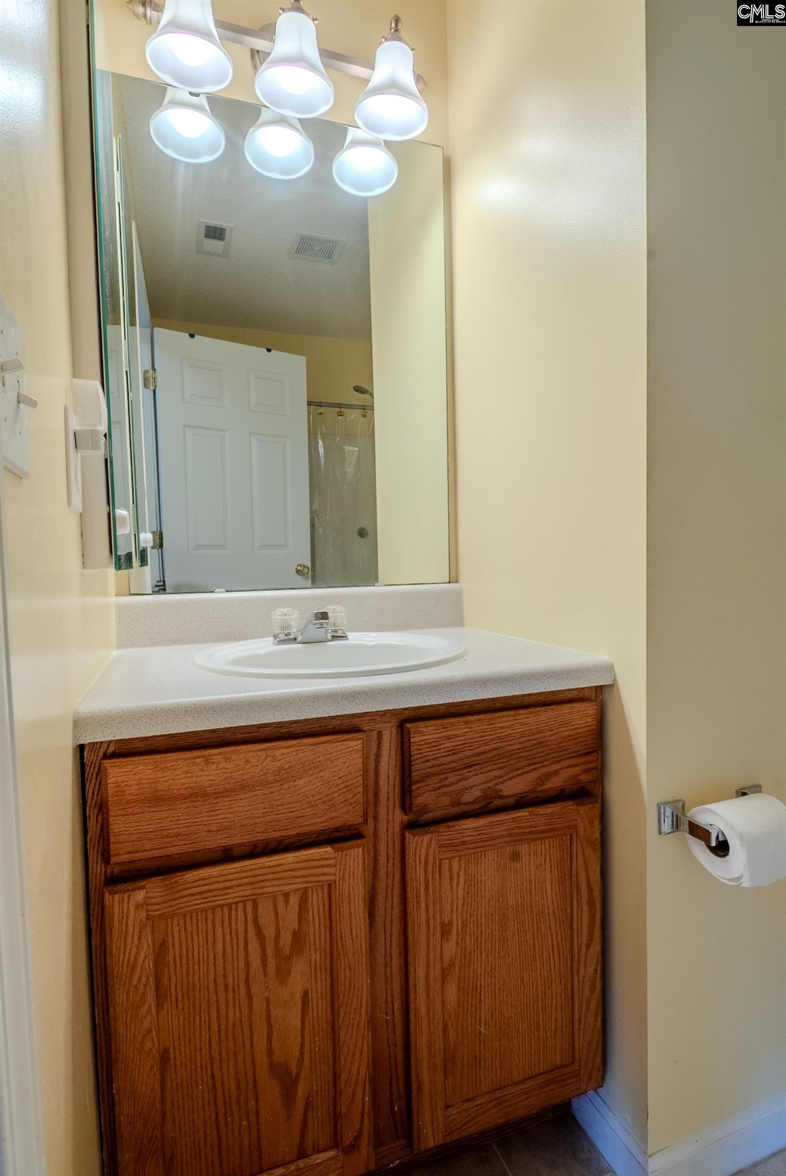 105 Songbird Court, Chapin, South Carolina image 44