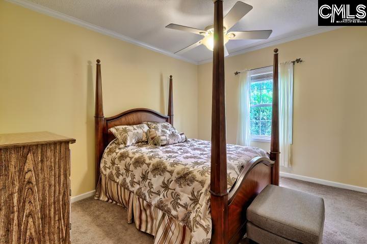 117 Farming Creek Way, Lexington, South Carolina image 16
