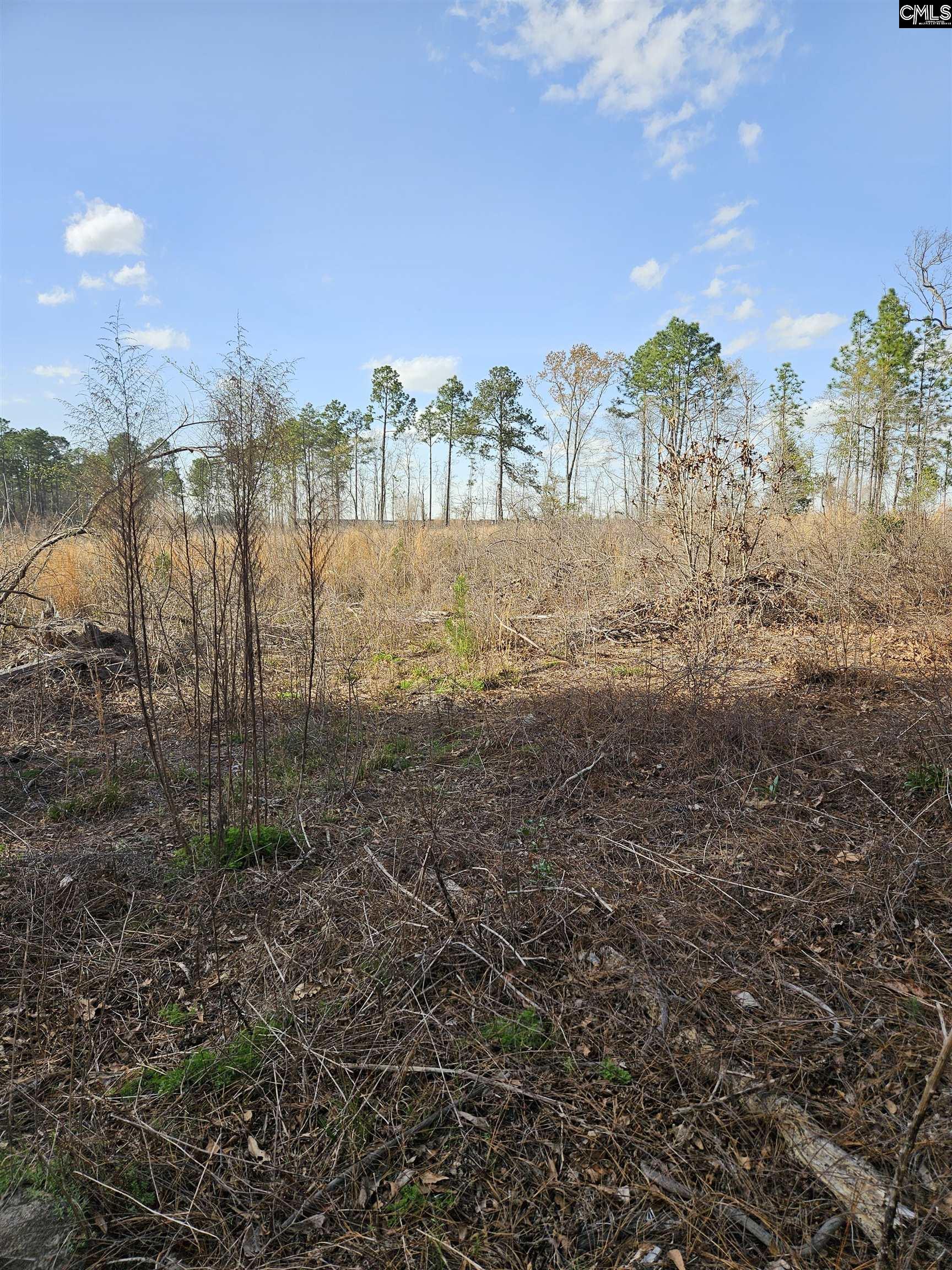 847 Gus Sturkie Road, Swansea, South Carolina image 11
