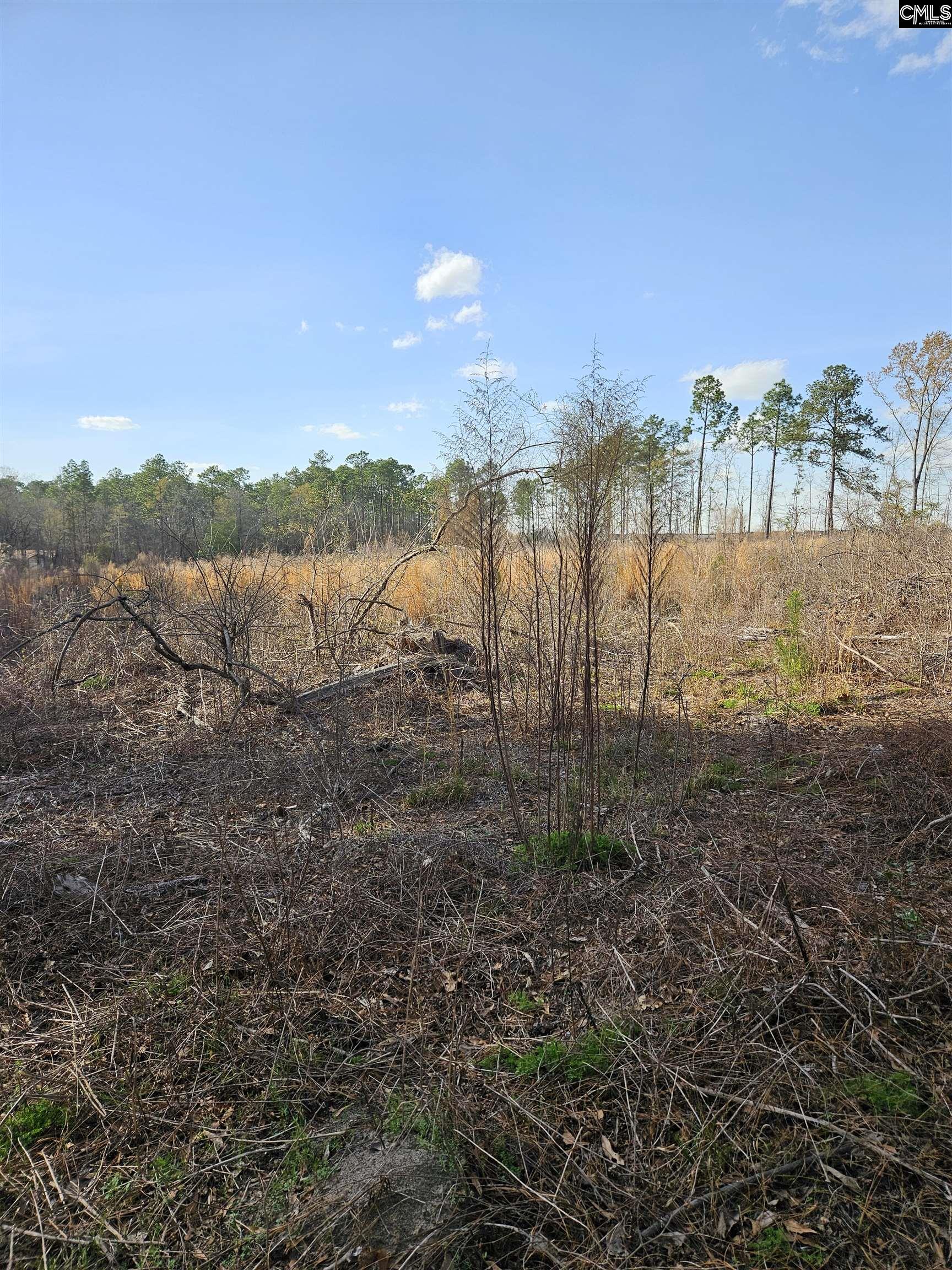 847 Gus Sturkie Road, Swansea, South Carolina image 12