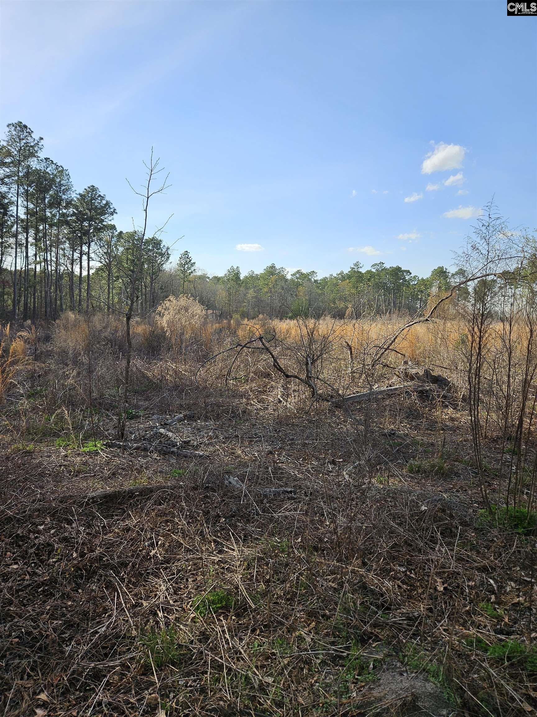 847 Gus Sturkie Road, Swansea, South Carolina image 13