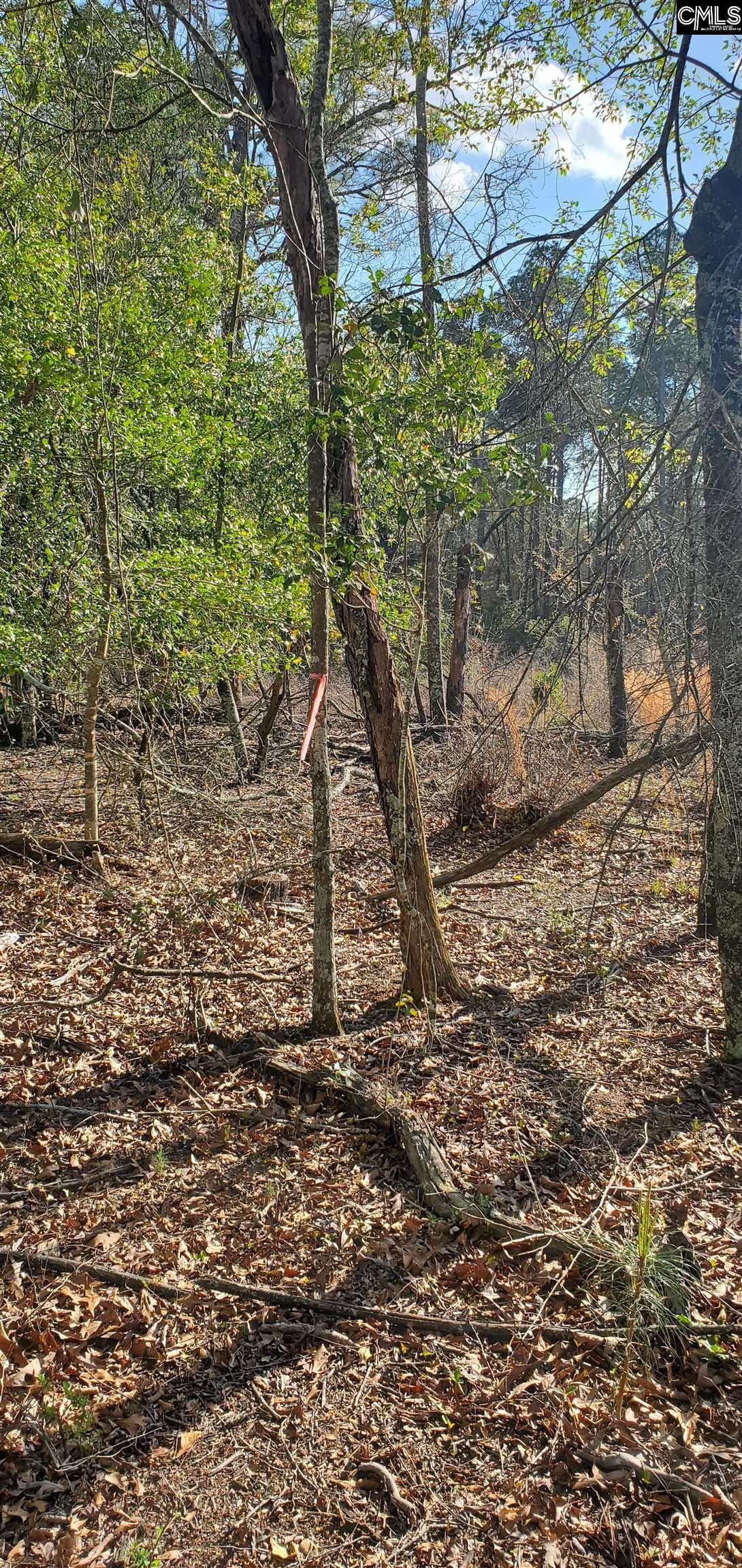 847 Gus Sturkie Road, Swansea, South Carolina image 3