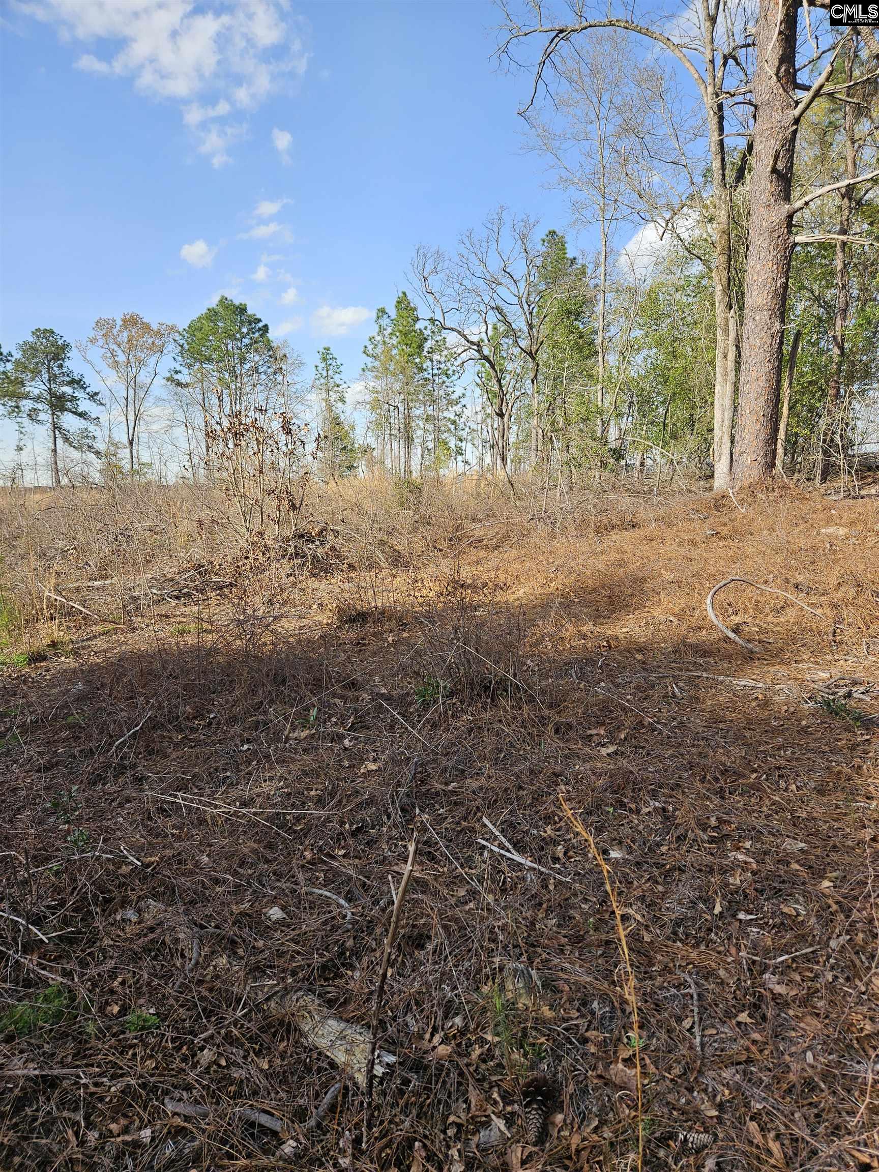 847 Gus Sturkie Road, Swansea, South Carolina image 4