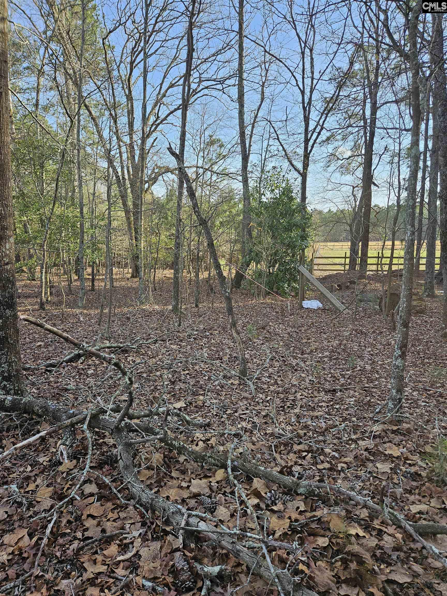 847 Gus Sturkie Road, Swansea, South Carolina image 6