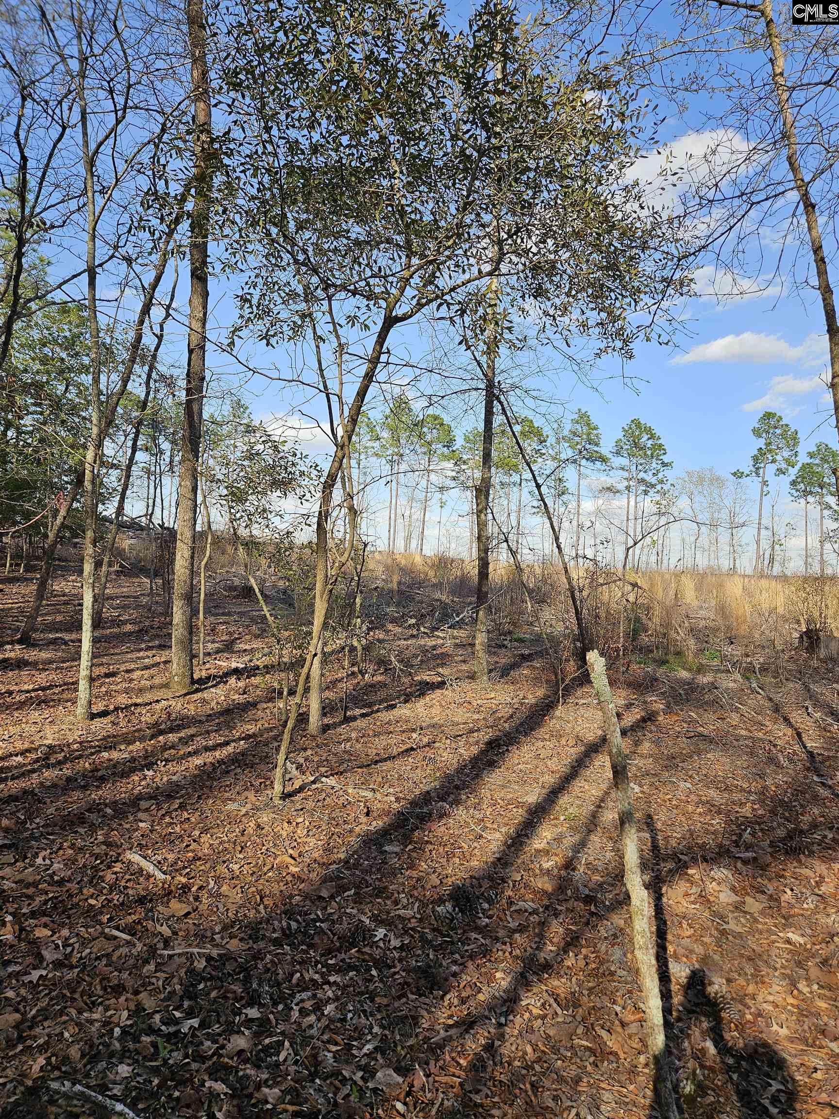 847 Gus Sturkie Road, Swansea, South Carolina image 7