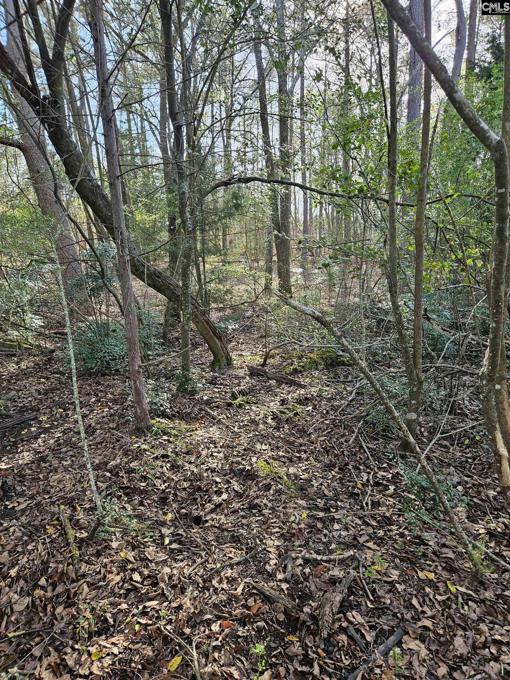 847 Gus Sturkie Road, Swansea, South Carolina image 10