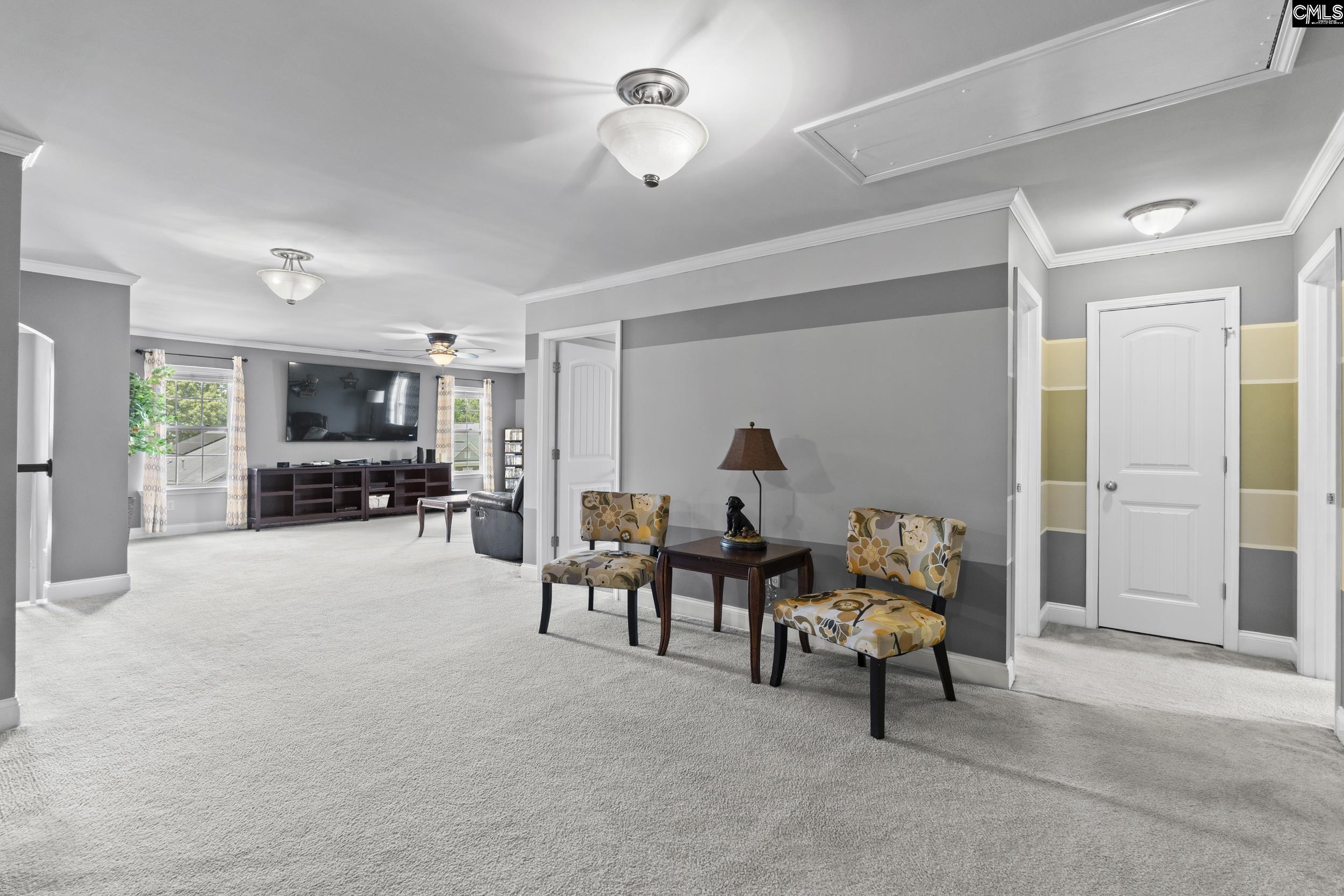 249 Fox Squirrel Circle, Columbia, South Carolina image 25