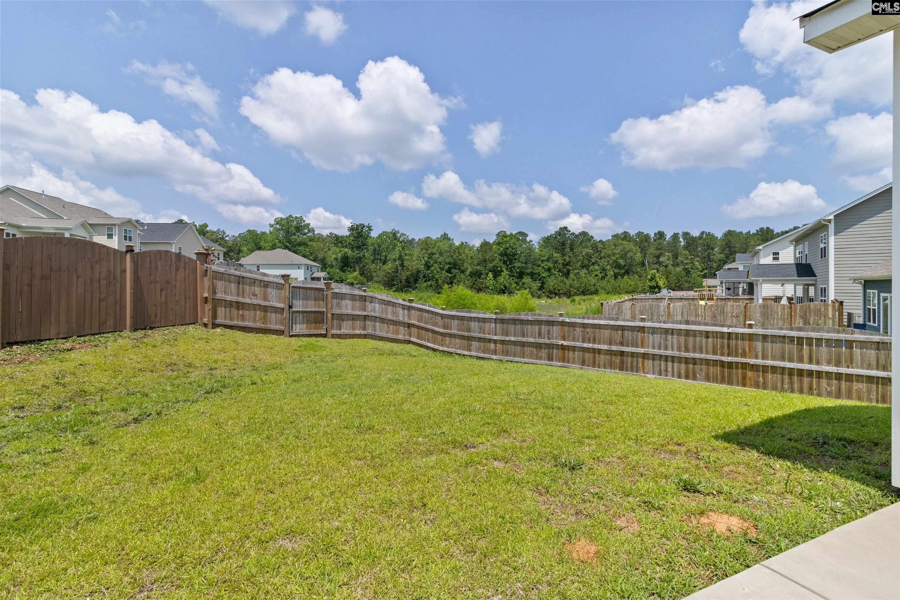 550 Malachite Ln, Chapin, South Carolina image 16