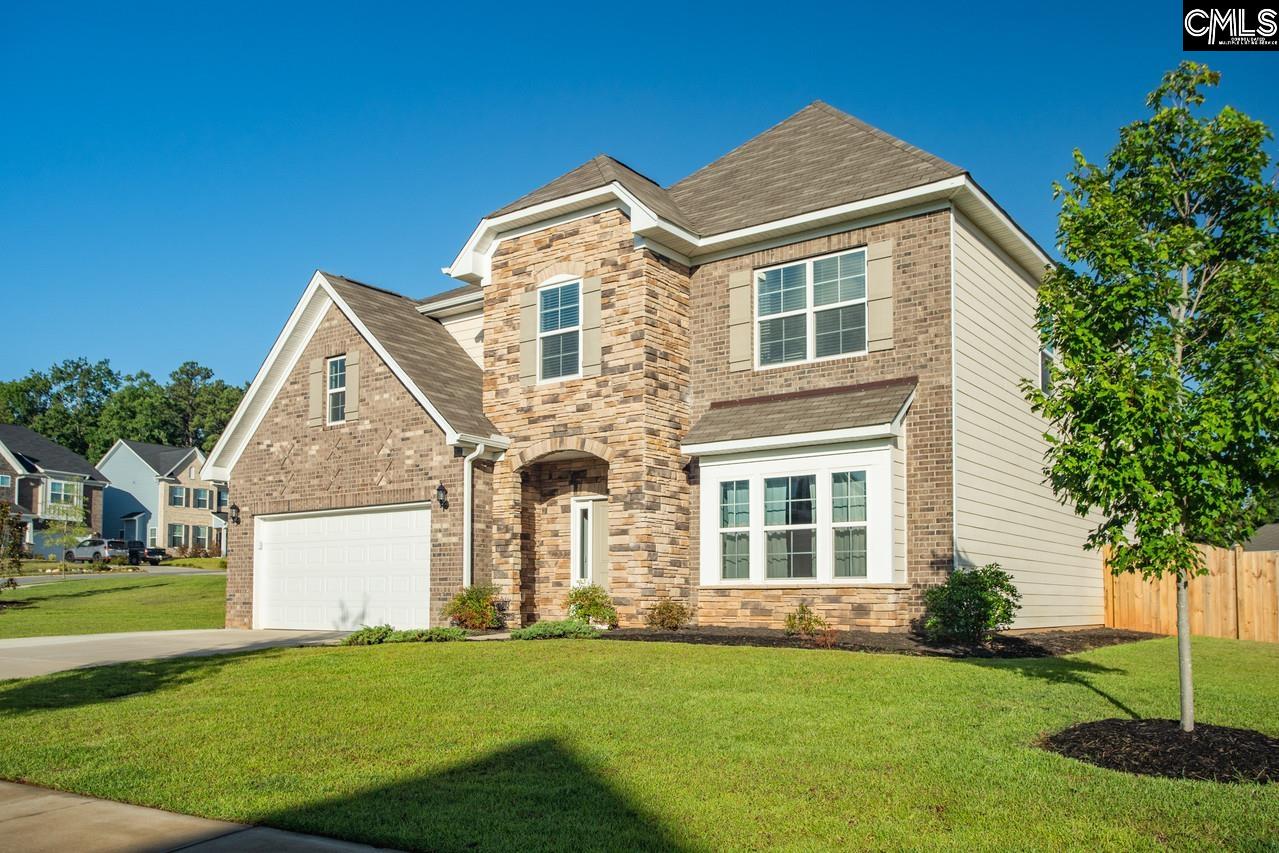 550 Malachite Ln, Chapin, South Carolina image 3