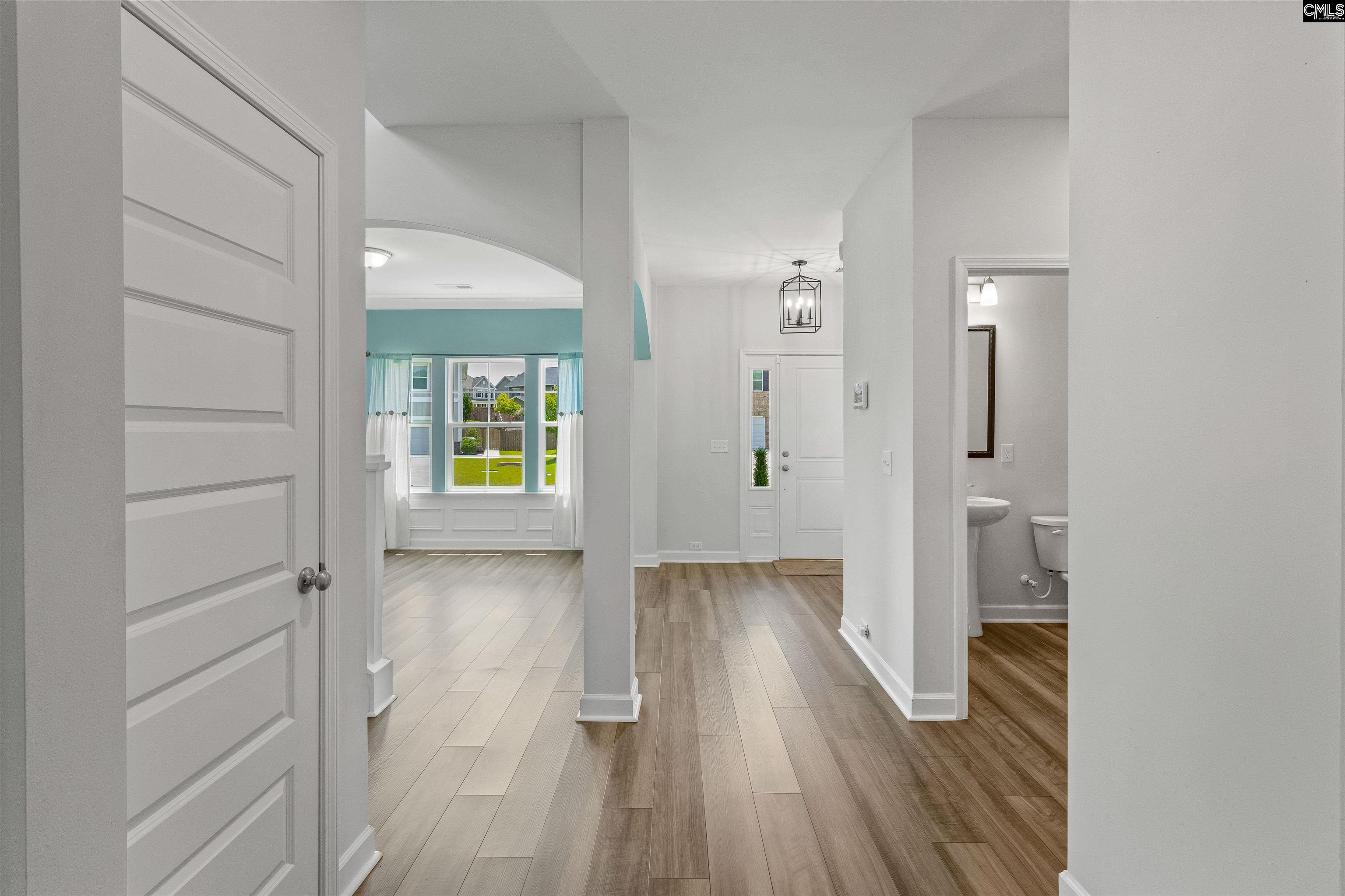 550 Malachite Ln, Chapin, South Carolina image 38