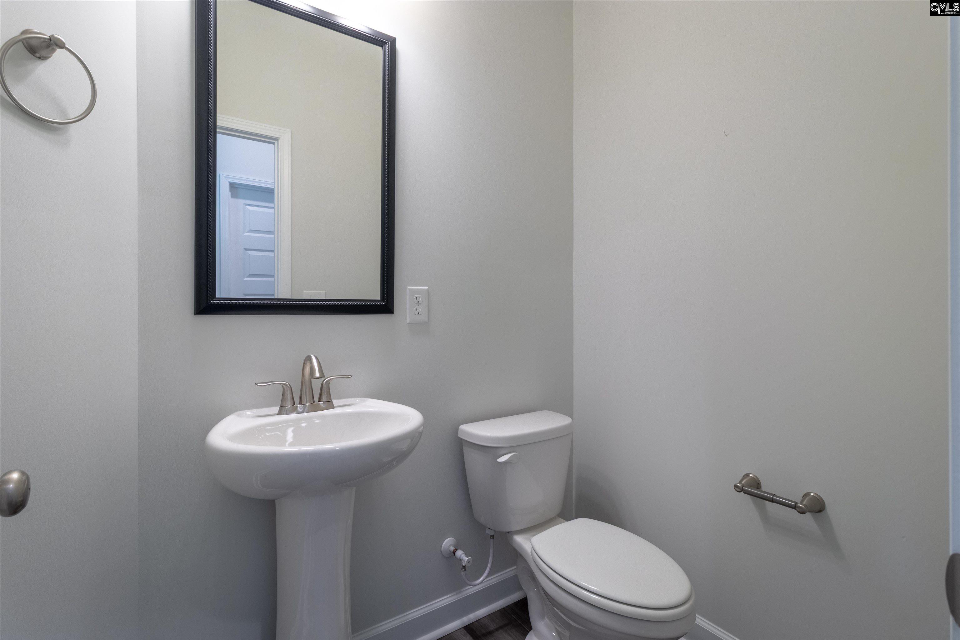 550 Malachite Ln, Chapin, South Carolina image 39