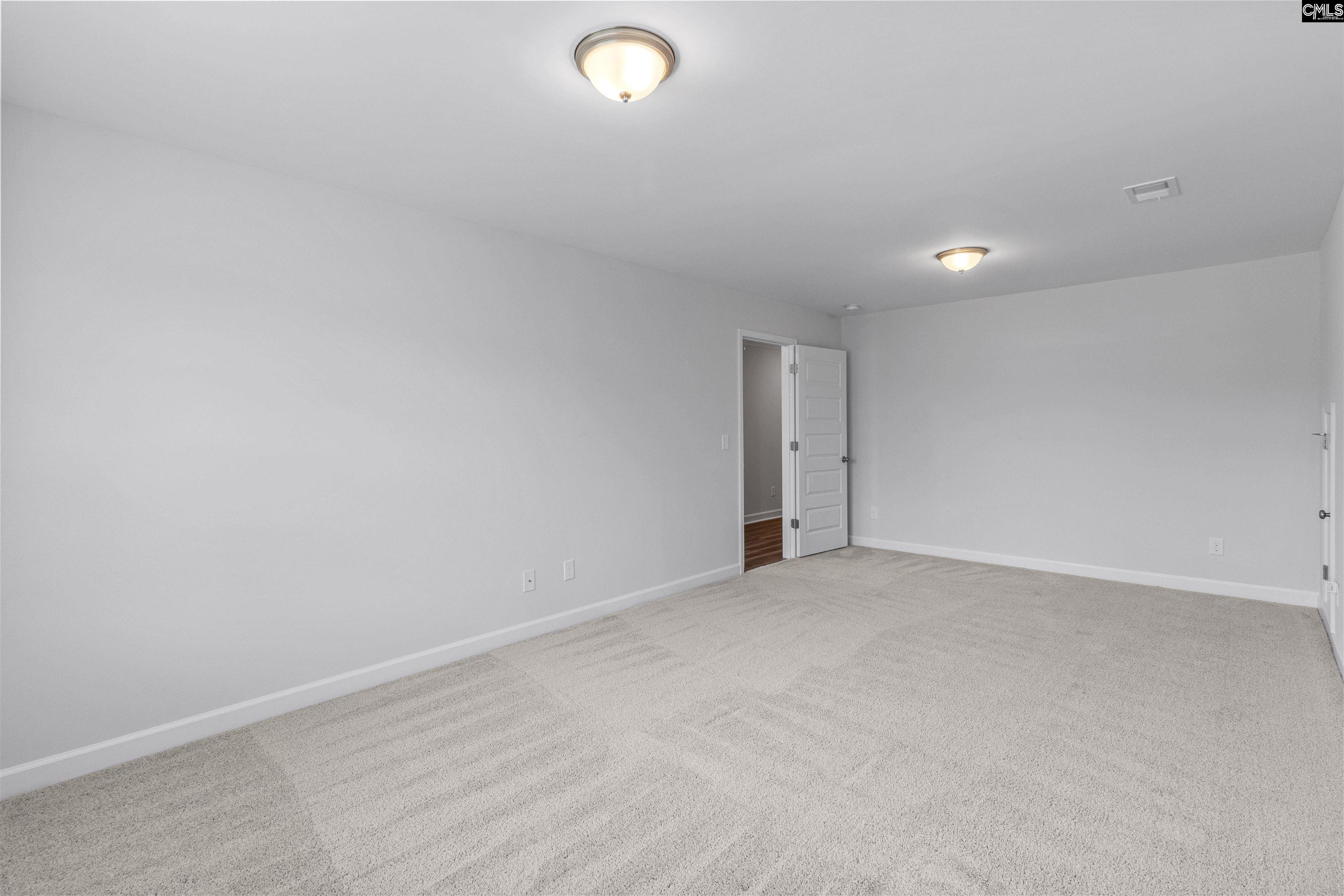 550 Malachite Ln Chapin, SC 29036-6318