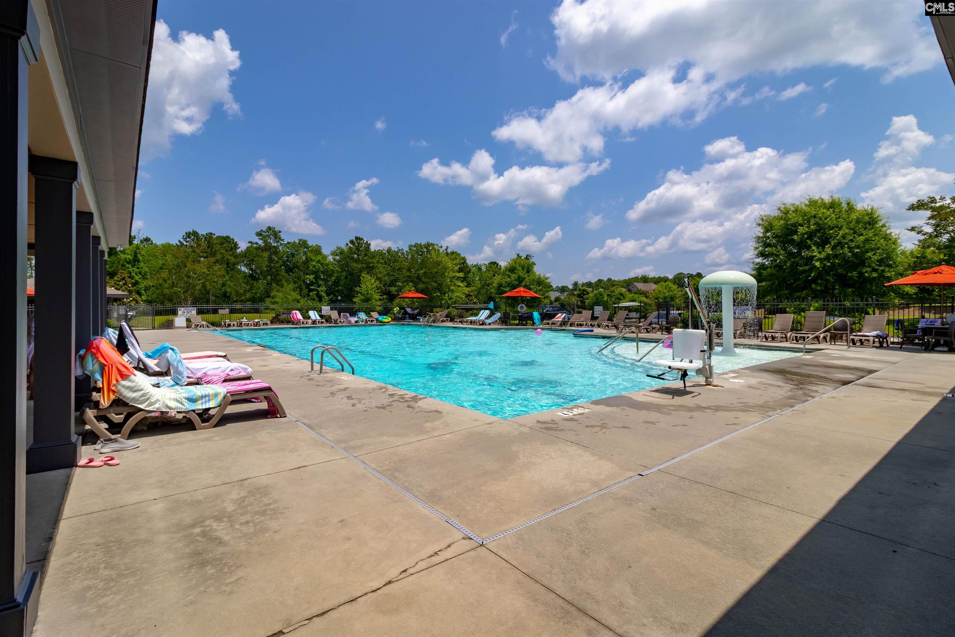 550 Malachite Ln Chapin, SC 29036-6318