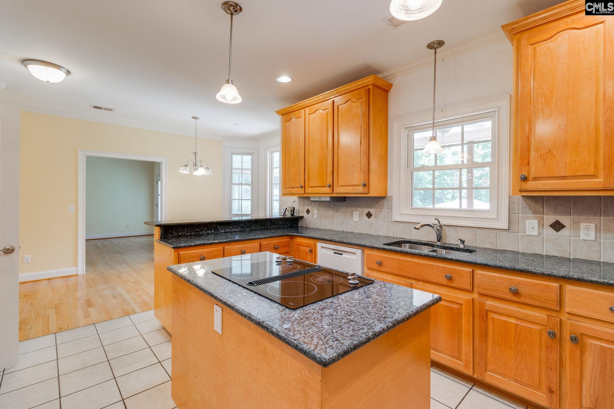 345 Murray Lindler Road, Chapin, South Carolina image 13