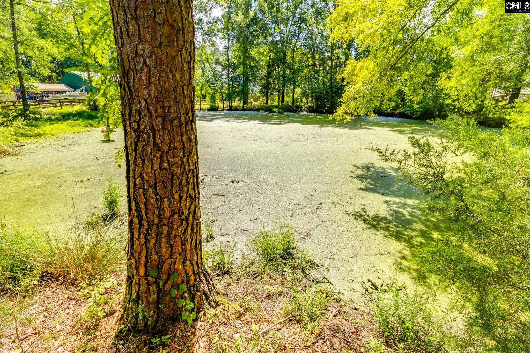345 Murray Lindler Road, Chapin, South Carolina image 45