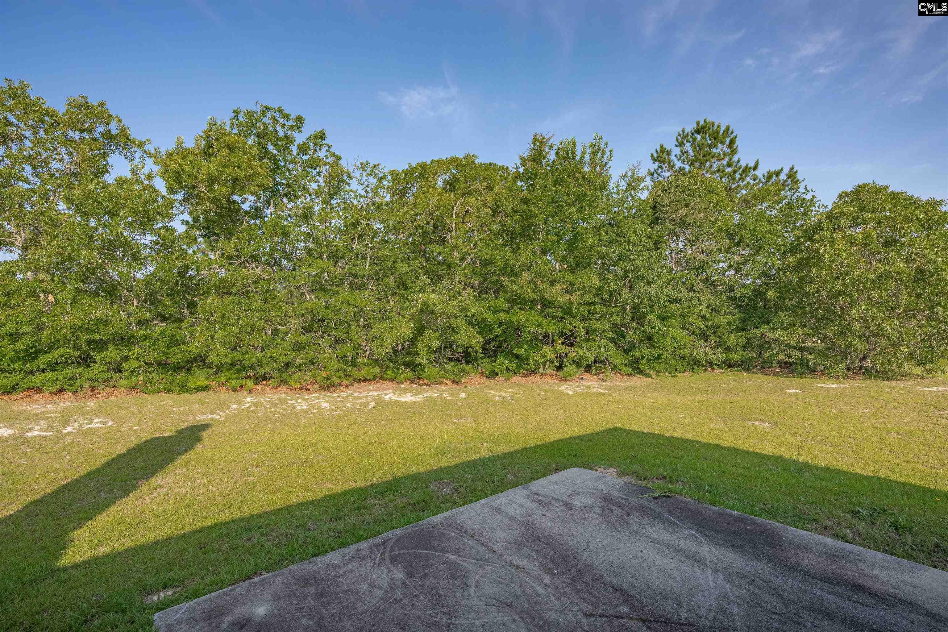 183 Ridge Pointe Drive, Gaston, South Carolina image 31