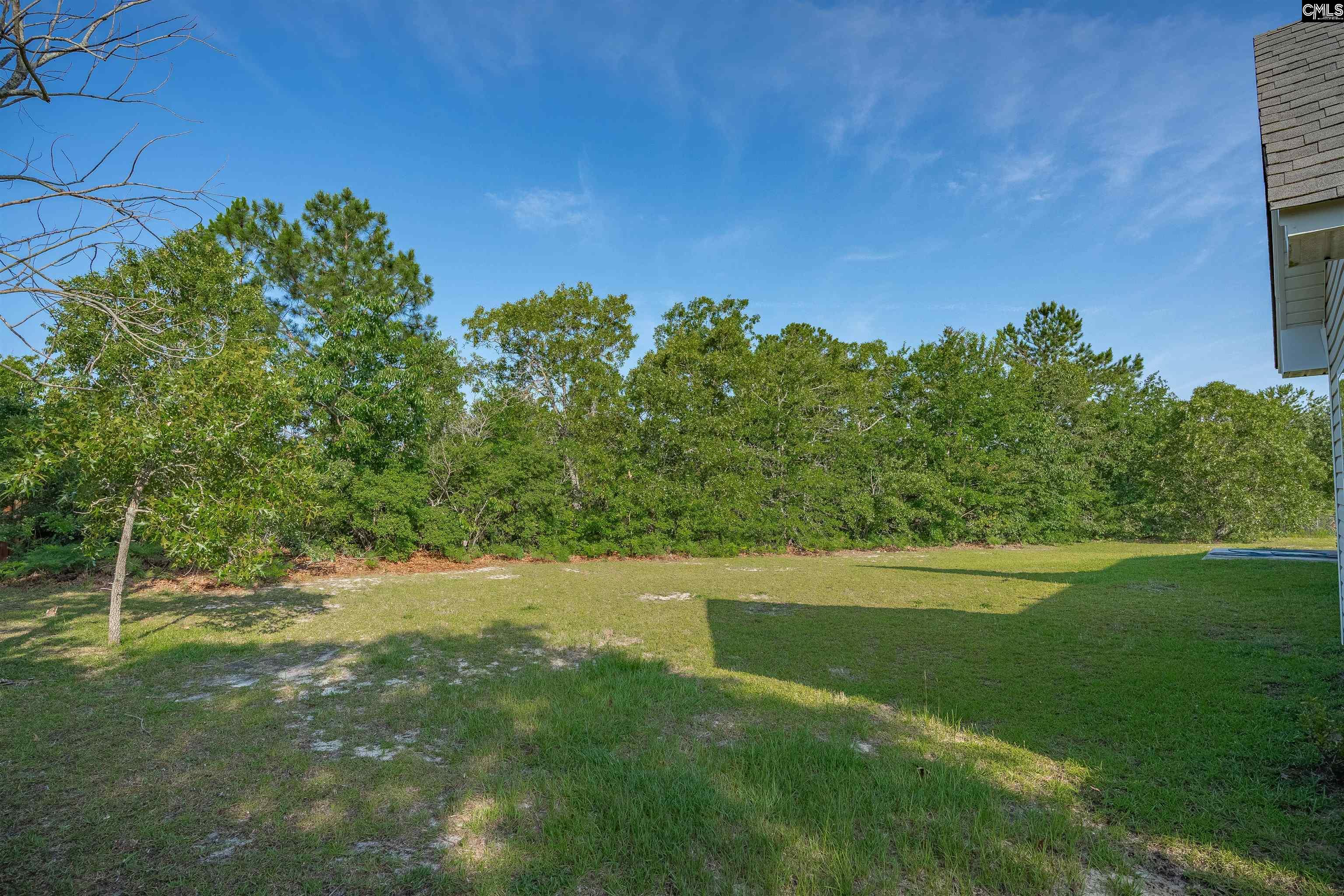 183 Ridge Pointe Drive, Gaston, South Carolina image 32