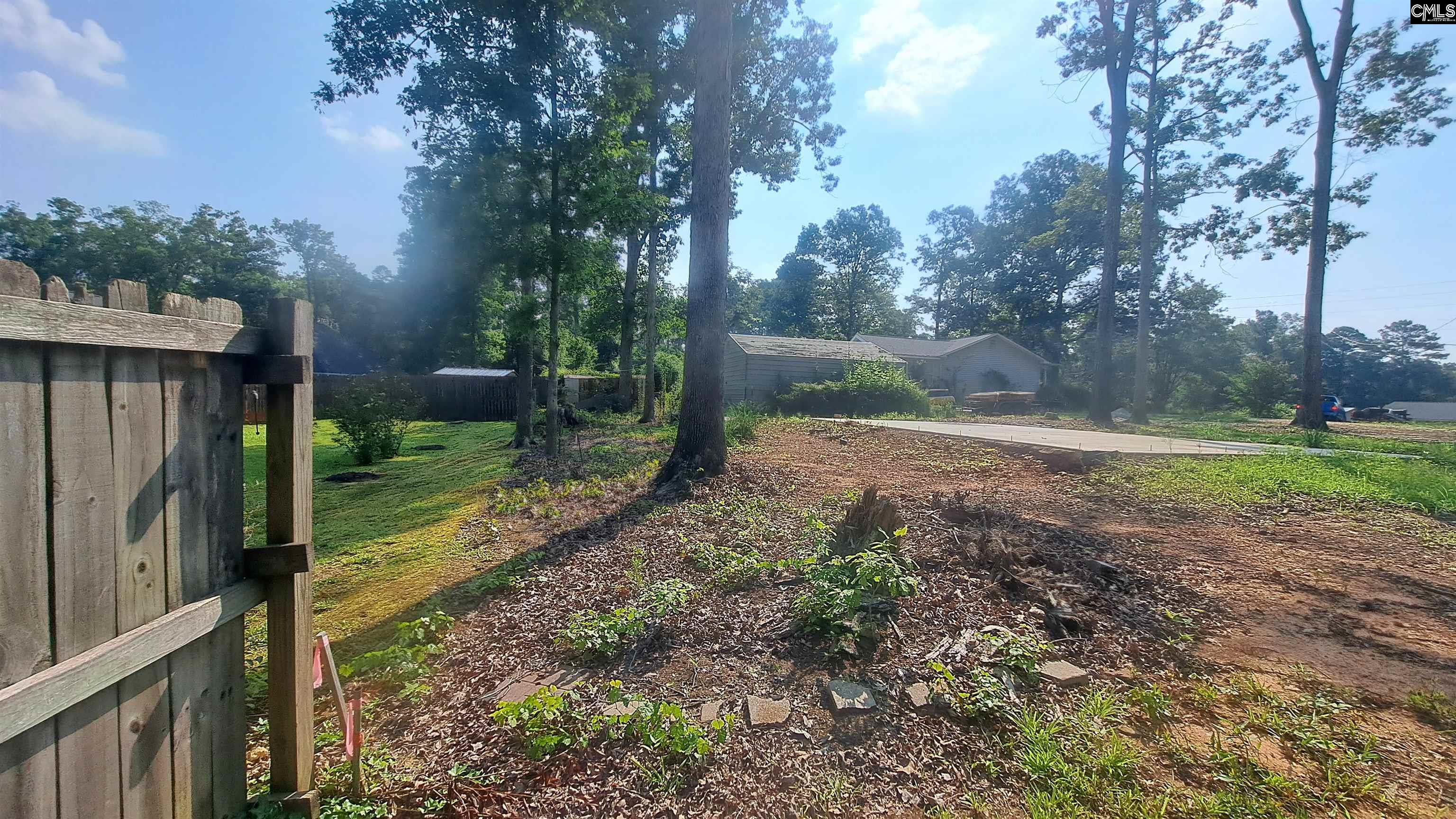 1520 Dreher Island Road, Chapin, South Carolina image 2