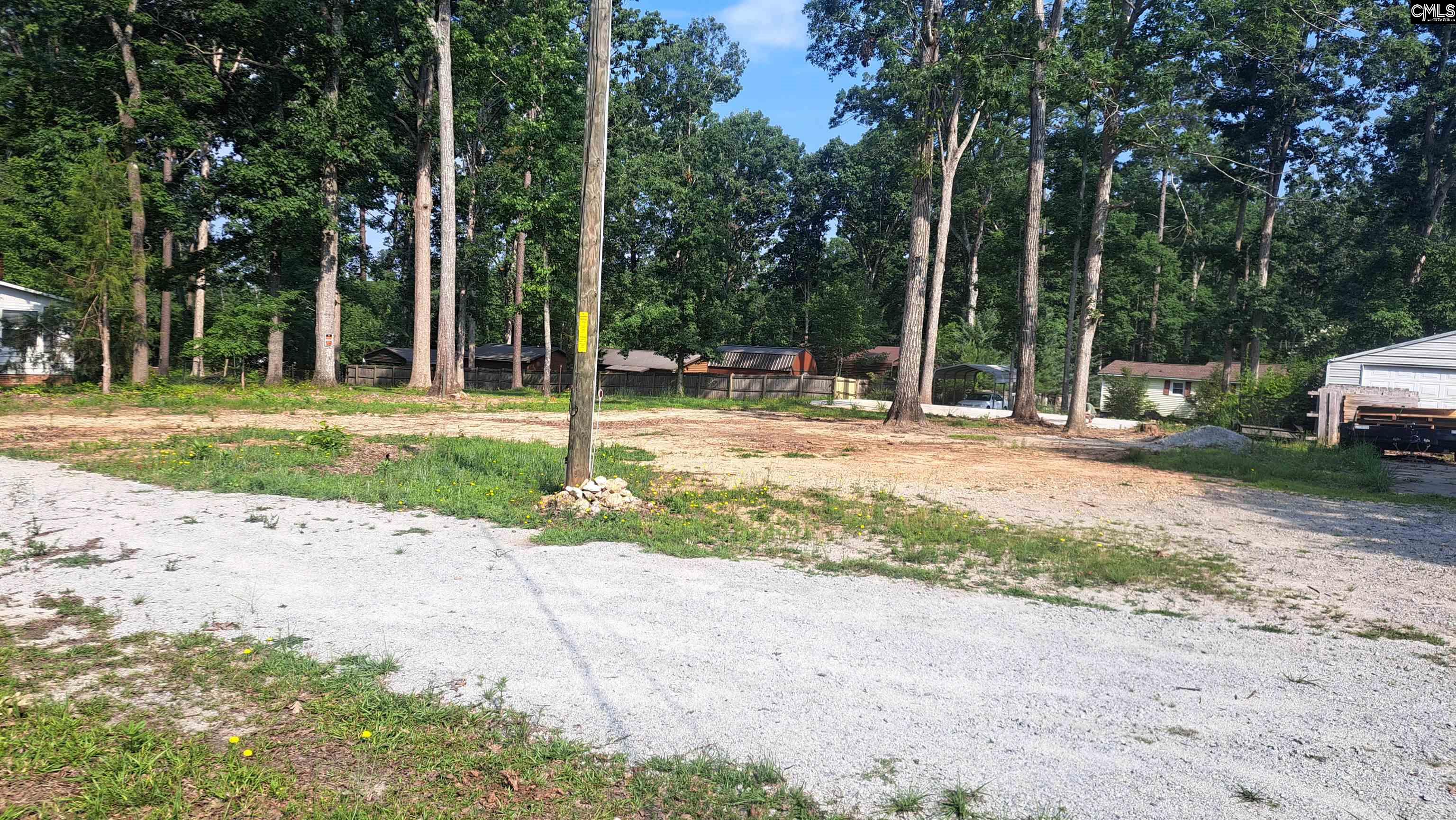 1520 Dreher Island Road, Chapin, South Carolina image 8