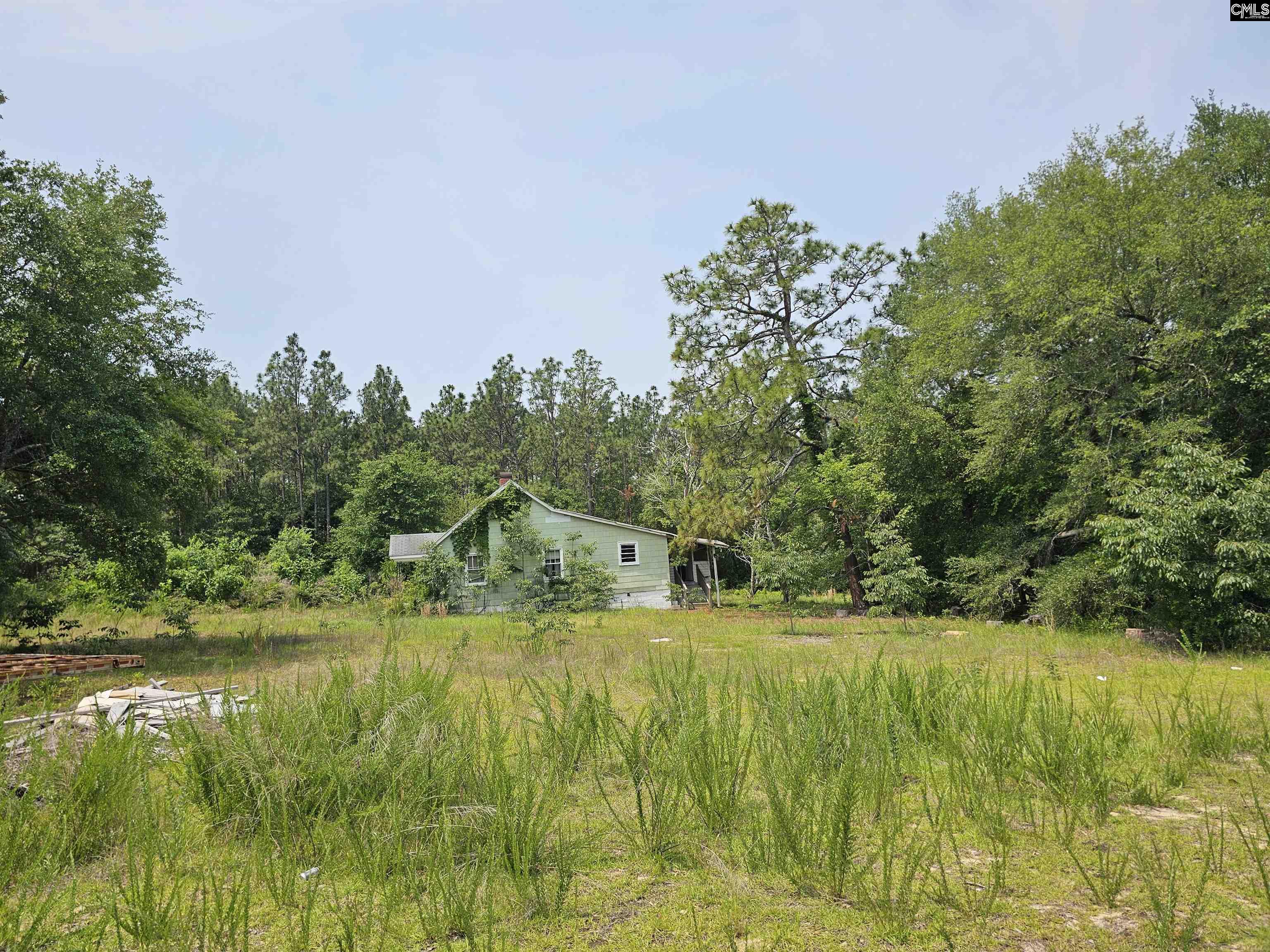 1307 Main Street, West Columbia, South Carolina image 2