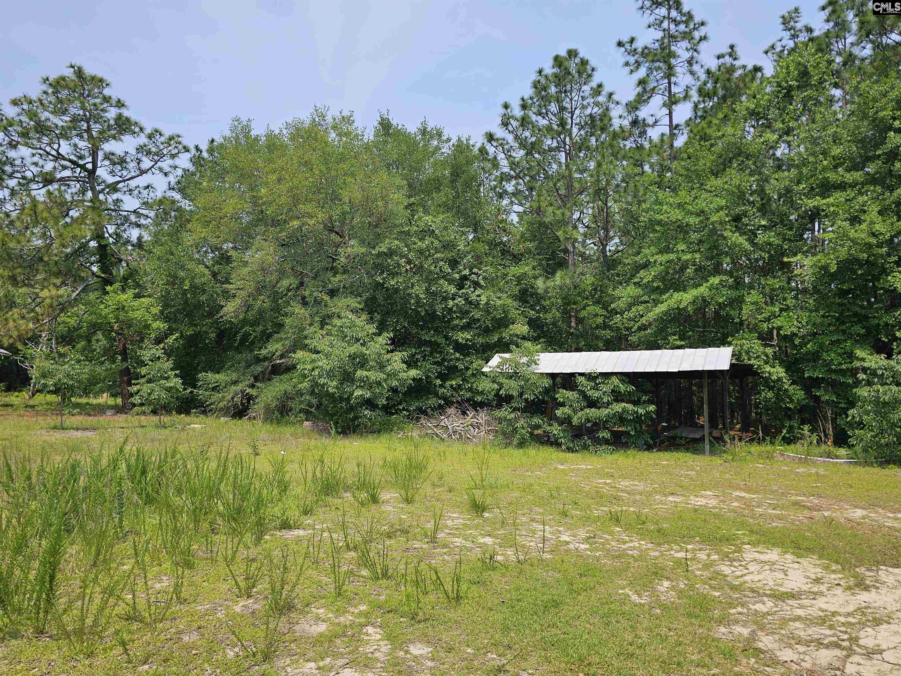 1307 Main Street, West Columbia, South Carolina image 3